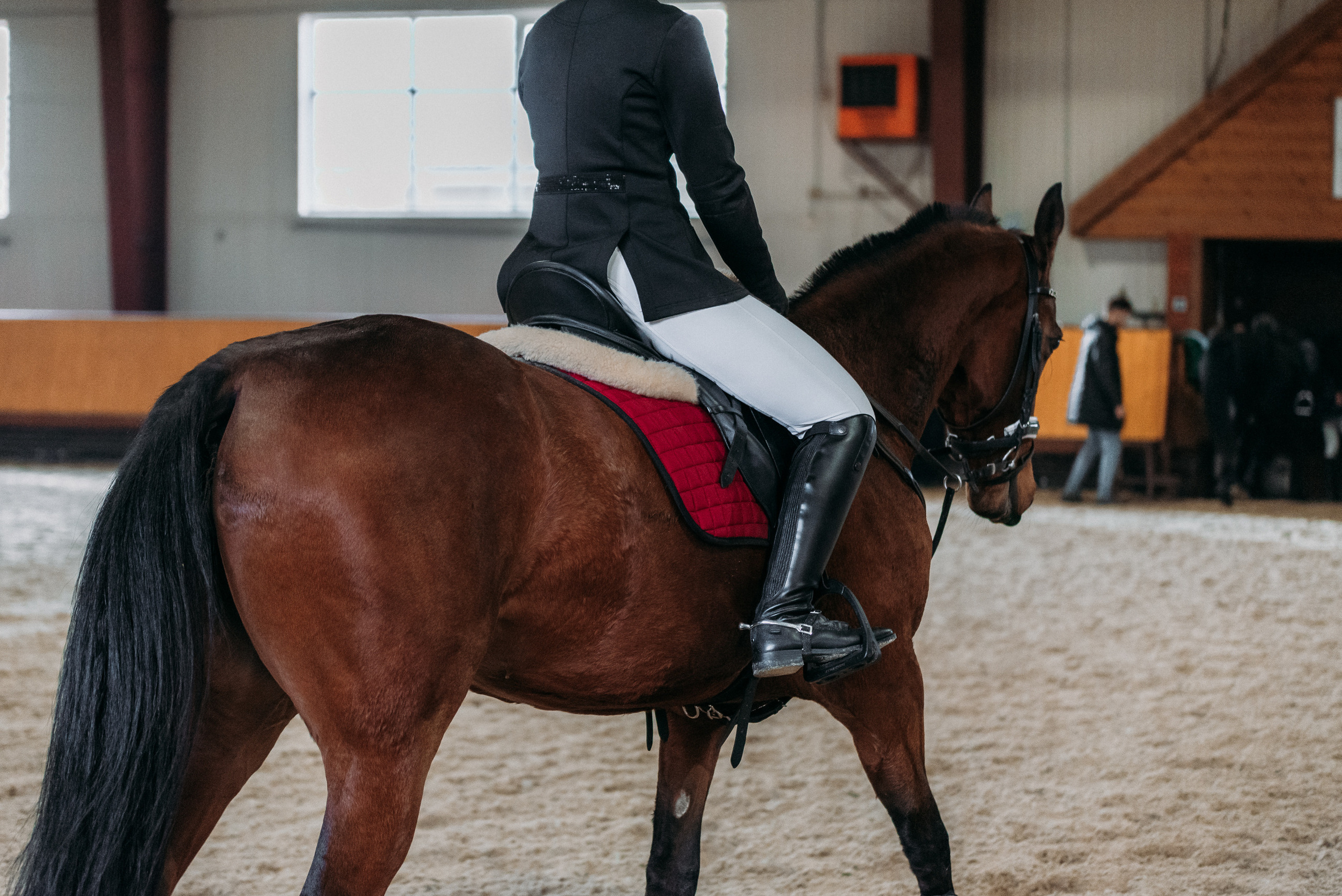 КСК История. Финал 2022 г.Конкур. Фотограф Рязань