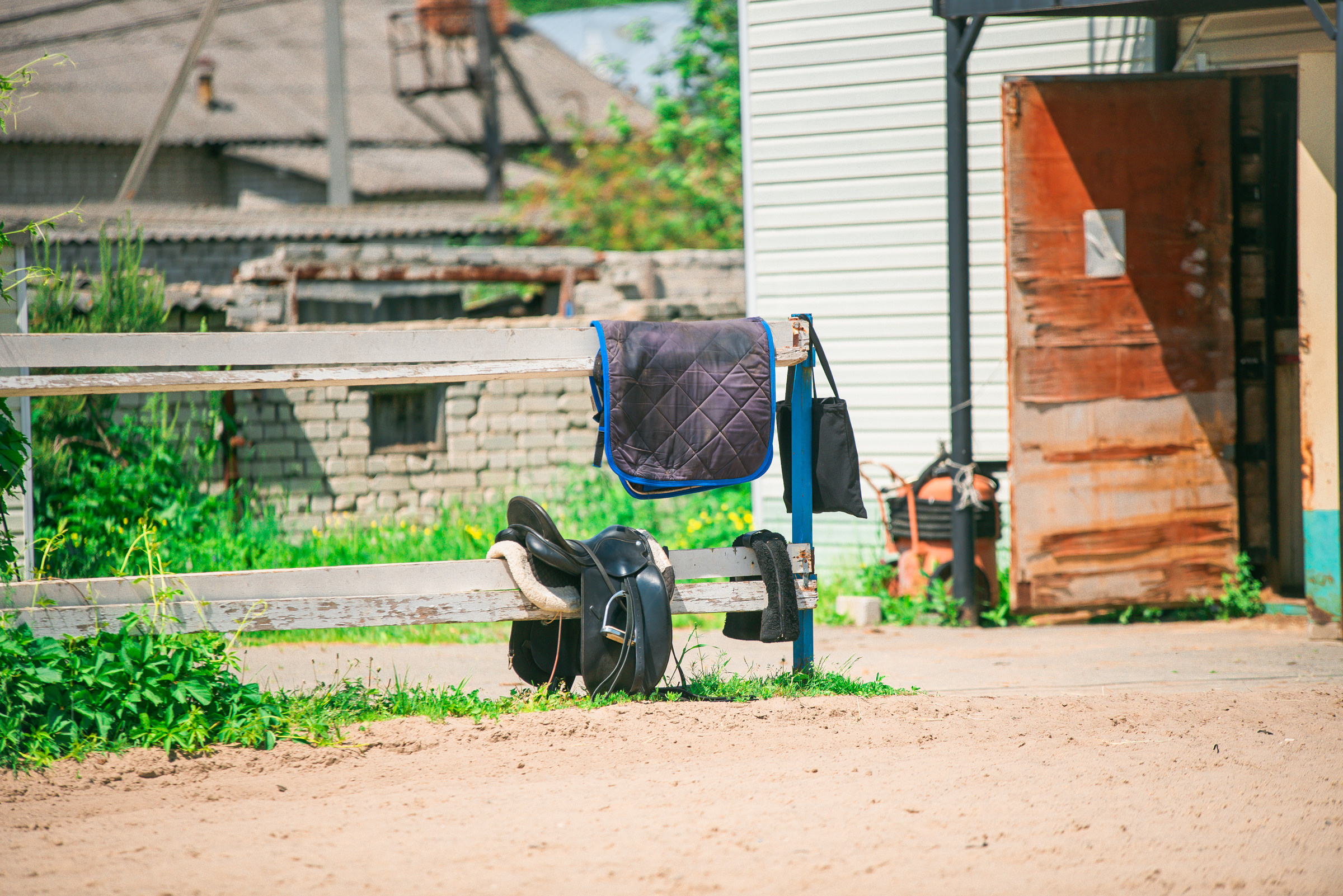 КСК Росинант. Клубные соревнования. Фотограф Рязань