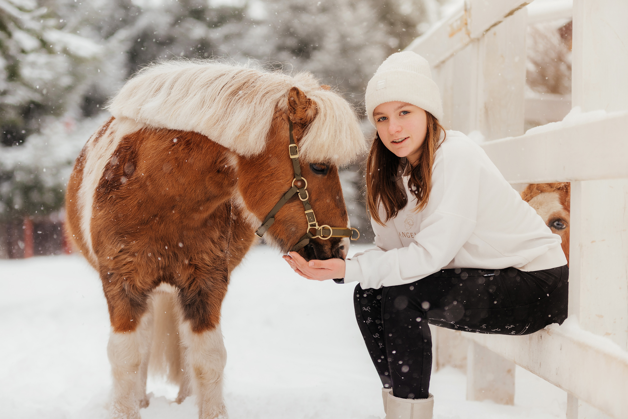 Фотосессии с лошадьми. Фотограф Рязань