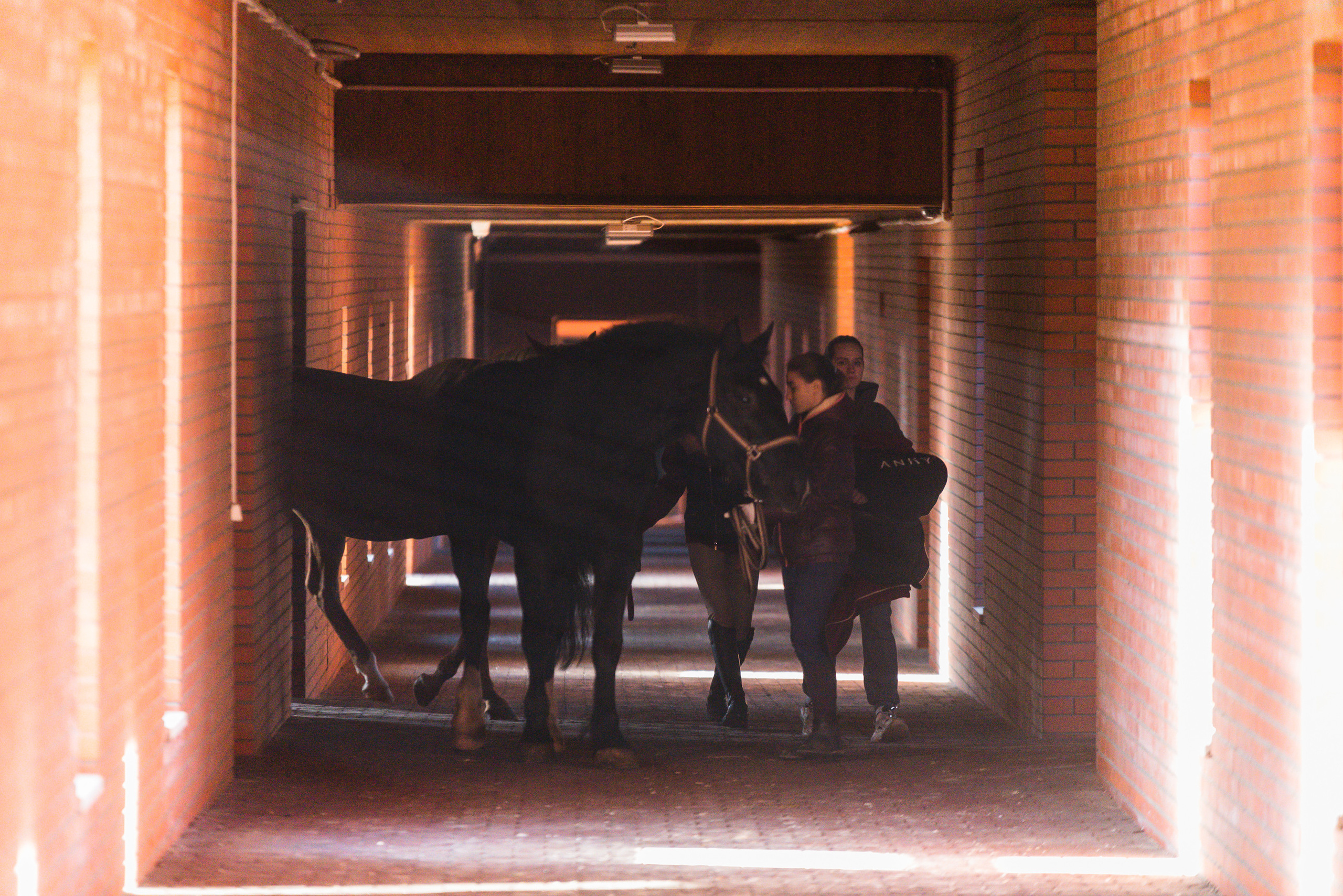 КСК История. Финал 2022 г.Конкур. Фотограф Рязань