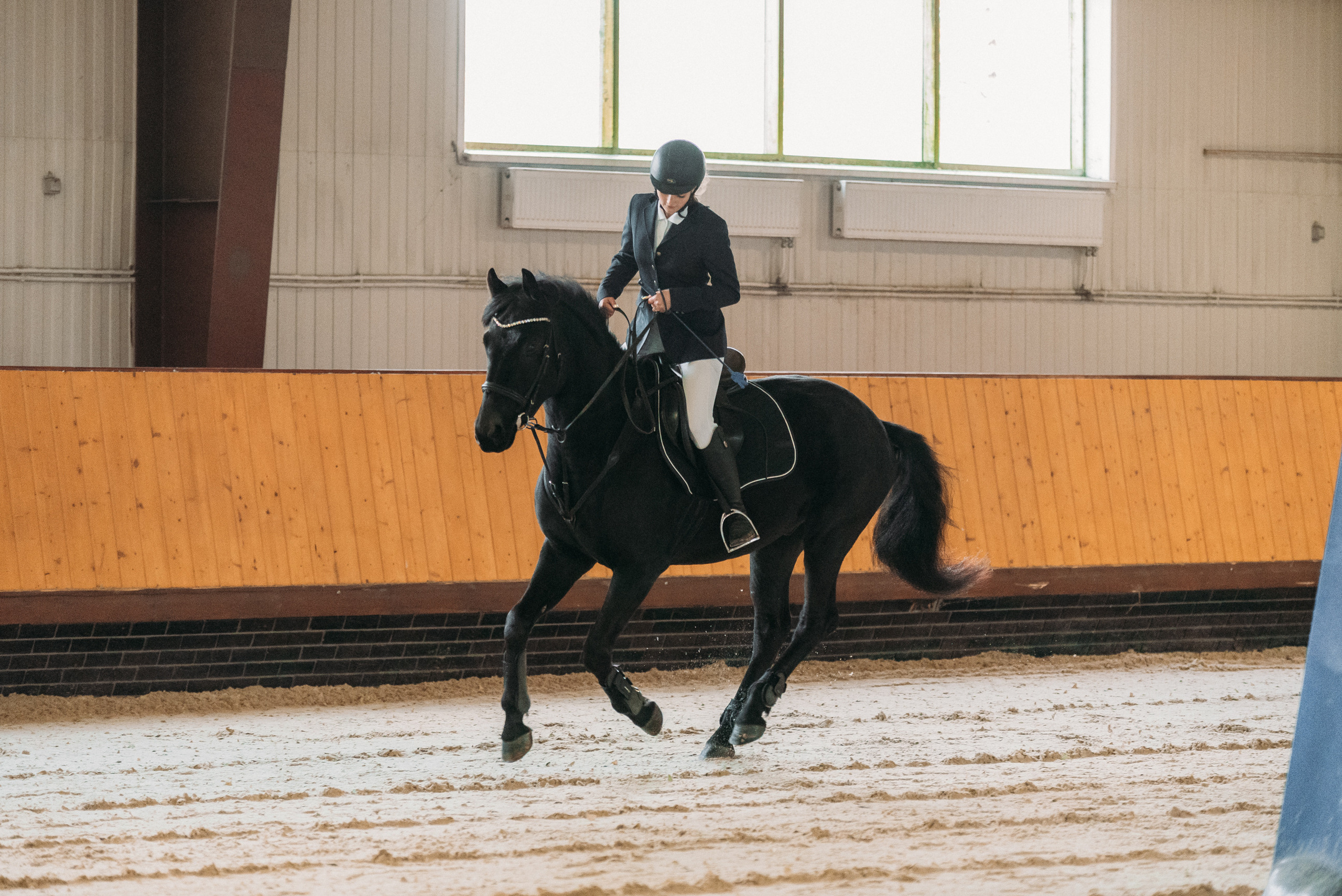 КСК История. Финал 2022 г.Конкур. Фотограф Рязань