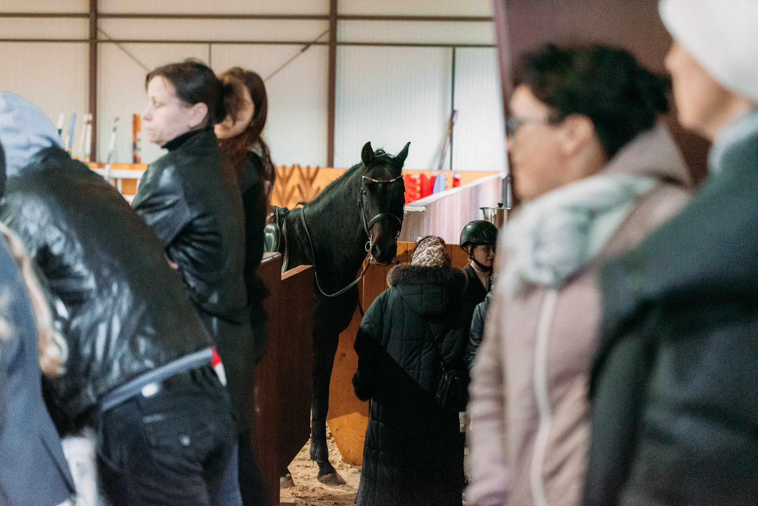 КСК История. Финал 2022 г.Конкур. Фотограф Рязань