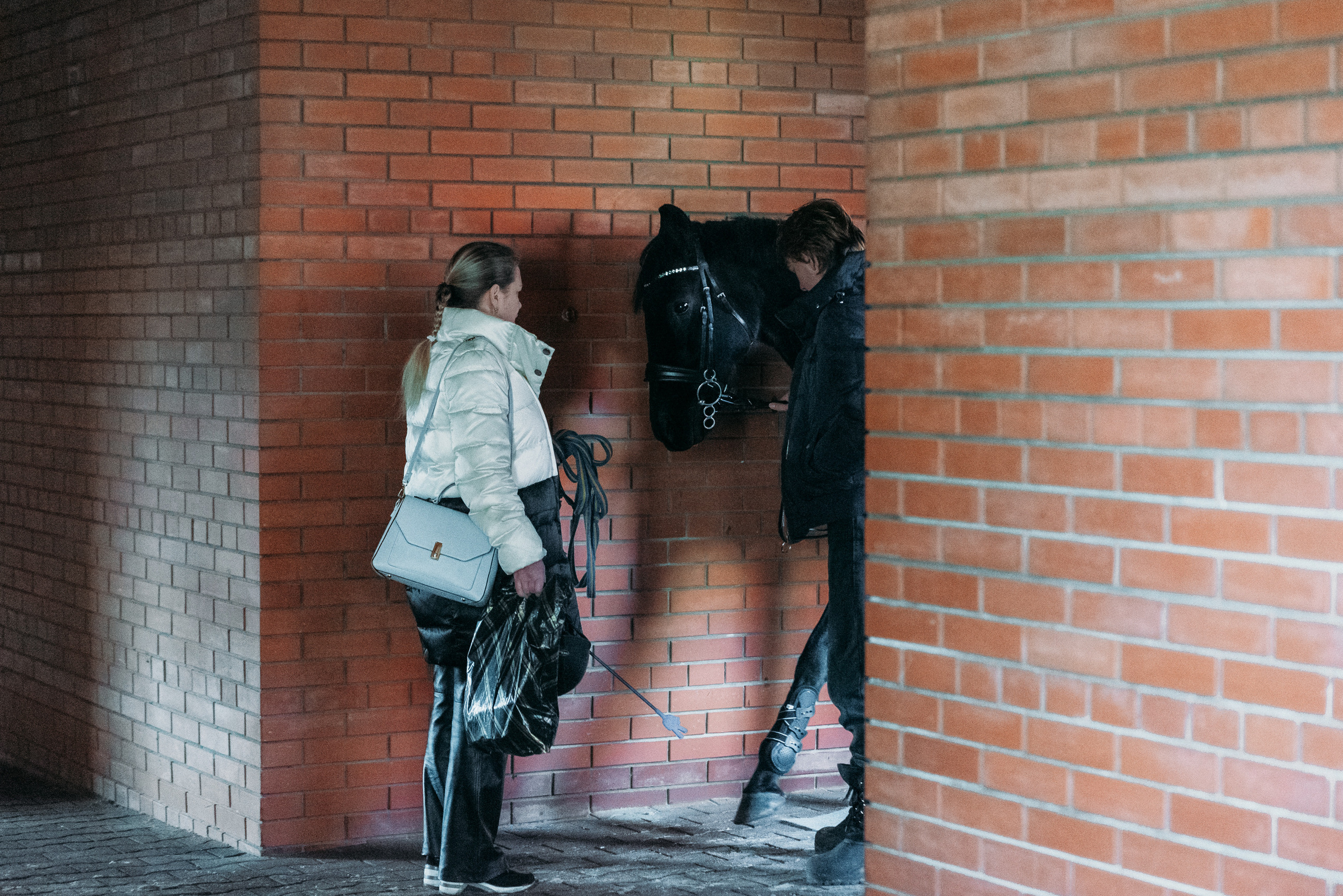 КСК История. Финал 2022 г.Конкур. Фотограф Рязань