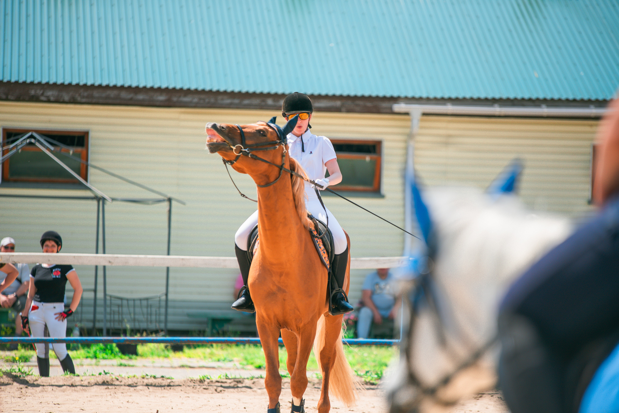 КСК Росинант. Клубные соревнования. Фотограф Рязань