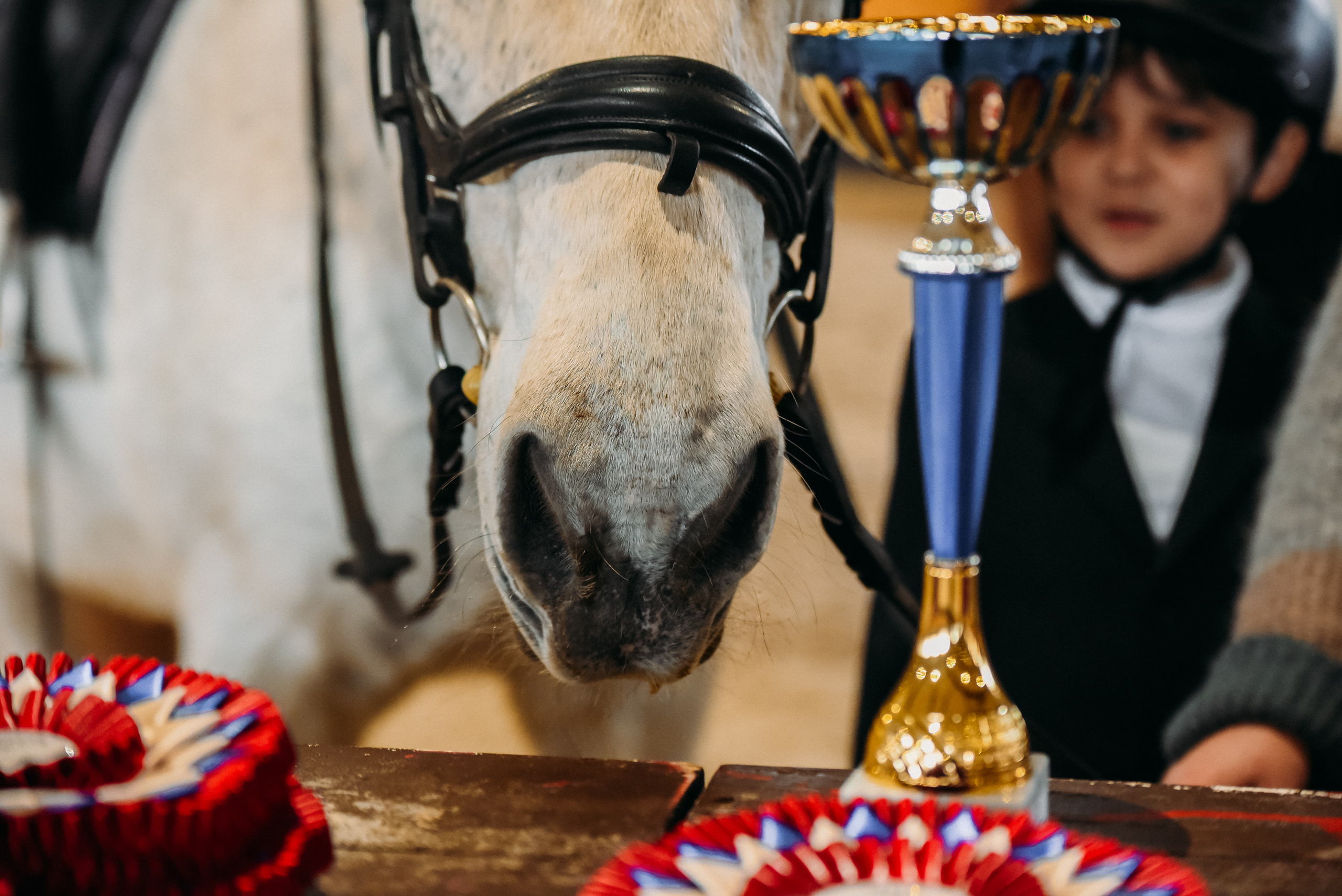 КСК История. Финал 2022 г.Конкур. Фотограф Рязань