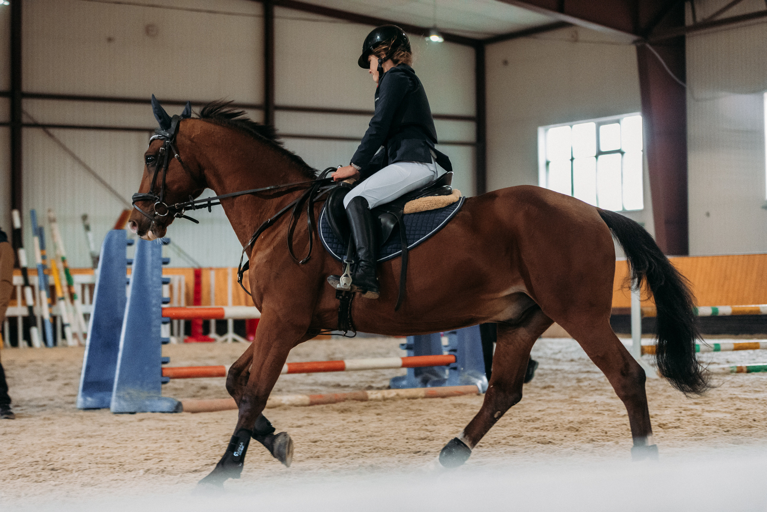 КСК История. Финал 2022 г.Конкур. Фотограф Рязань