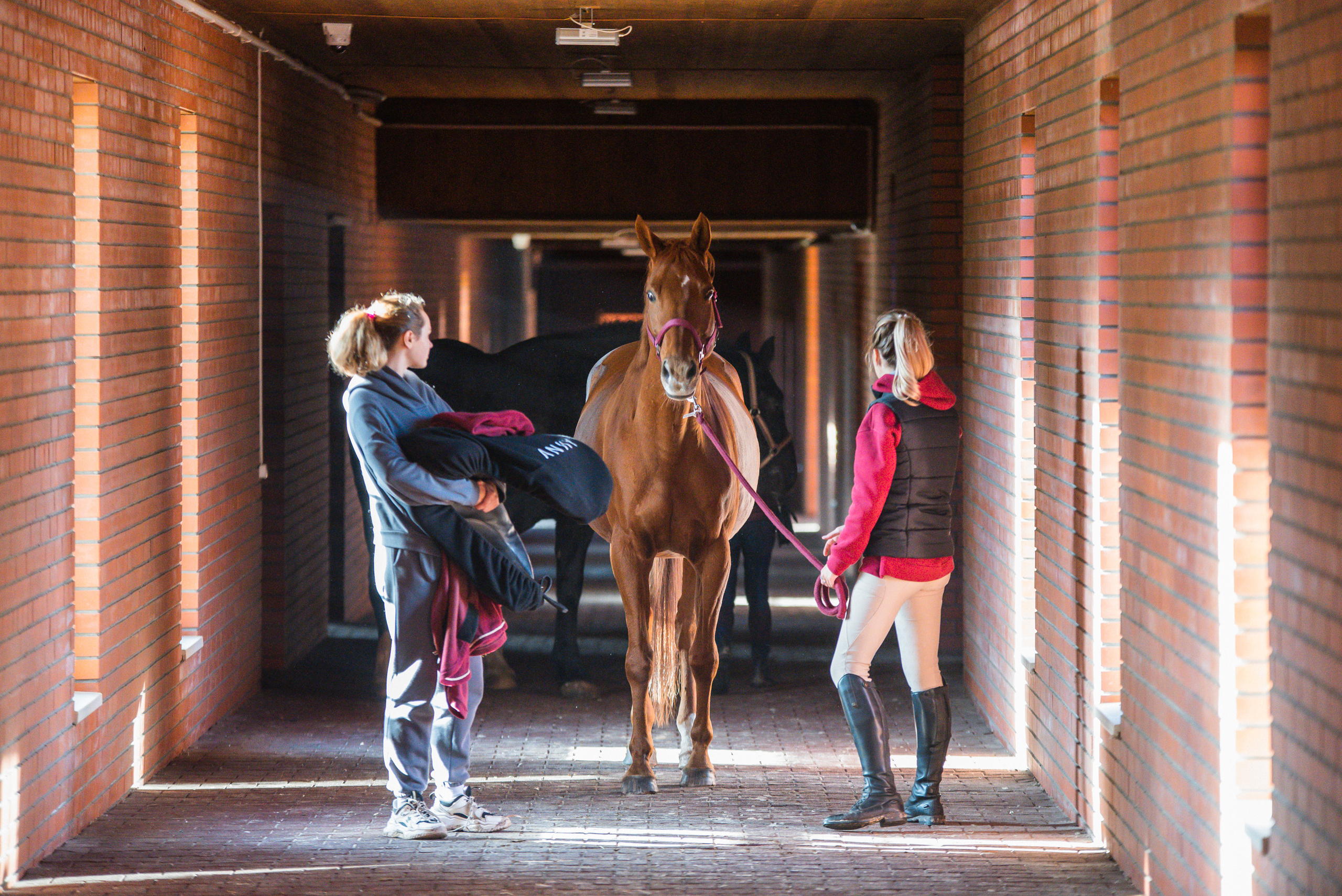 КСК История. Финал 2022 г.Конкур. Фотограф Рязань