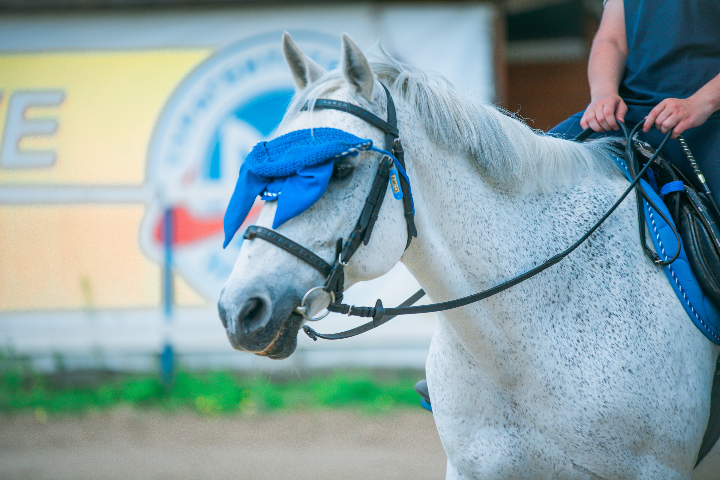 КСК Росинант. Клубные соревнования. Фотограф Рязань