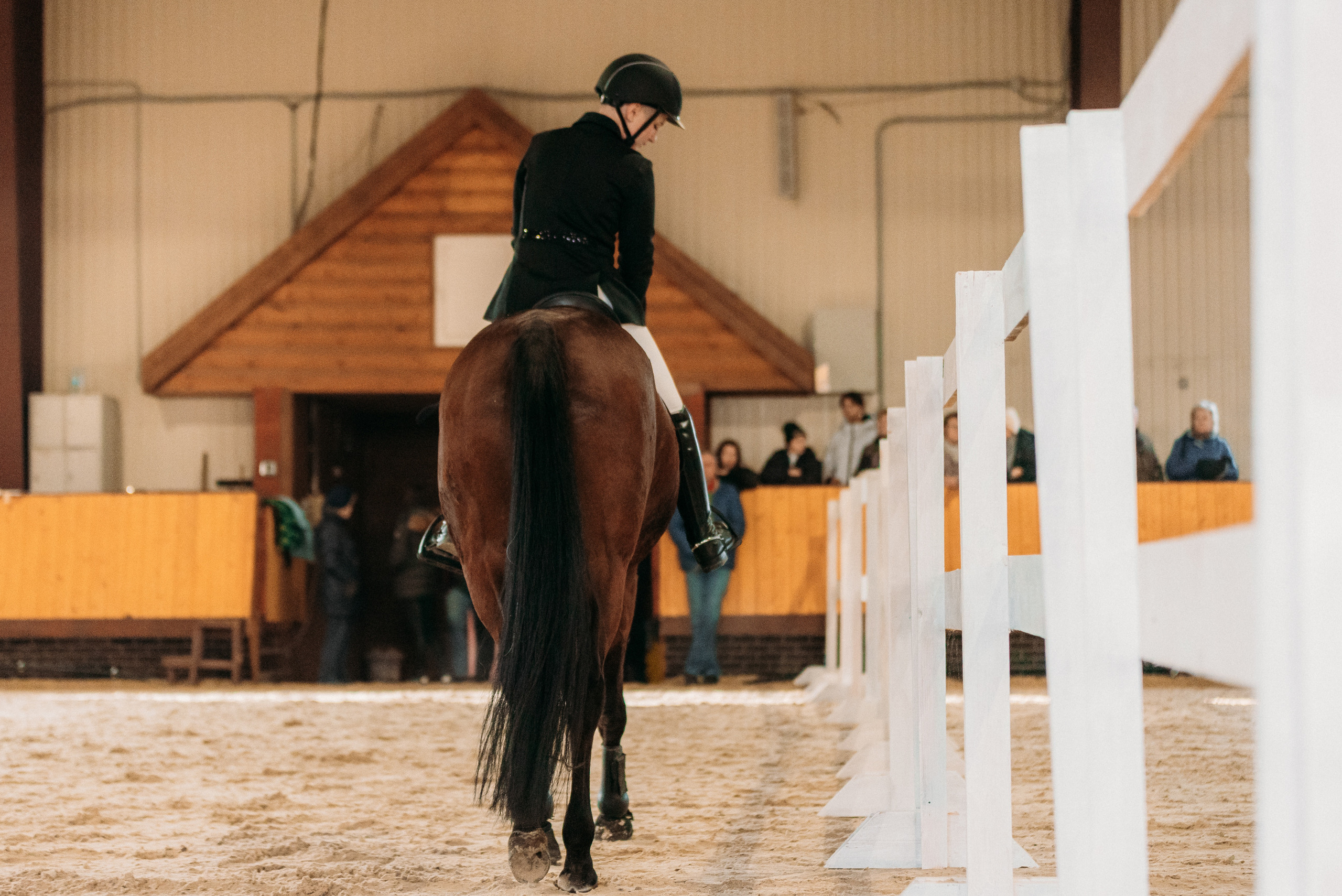 КСК История. Финал 2022 г.Конкур. Фотограф Рязань