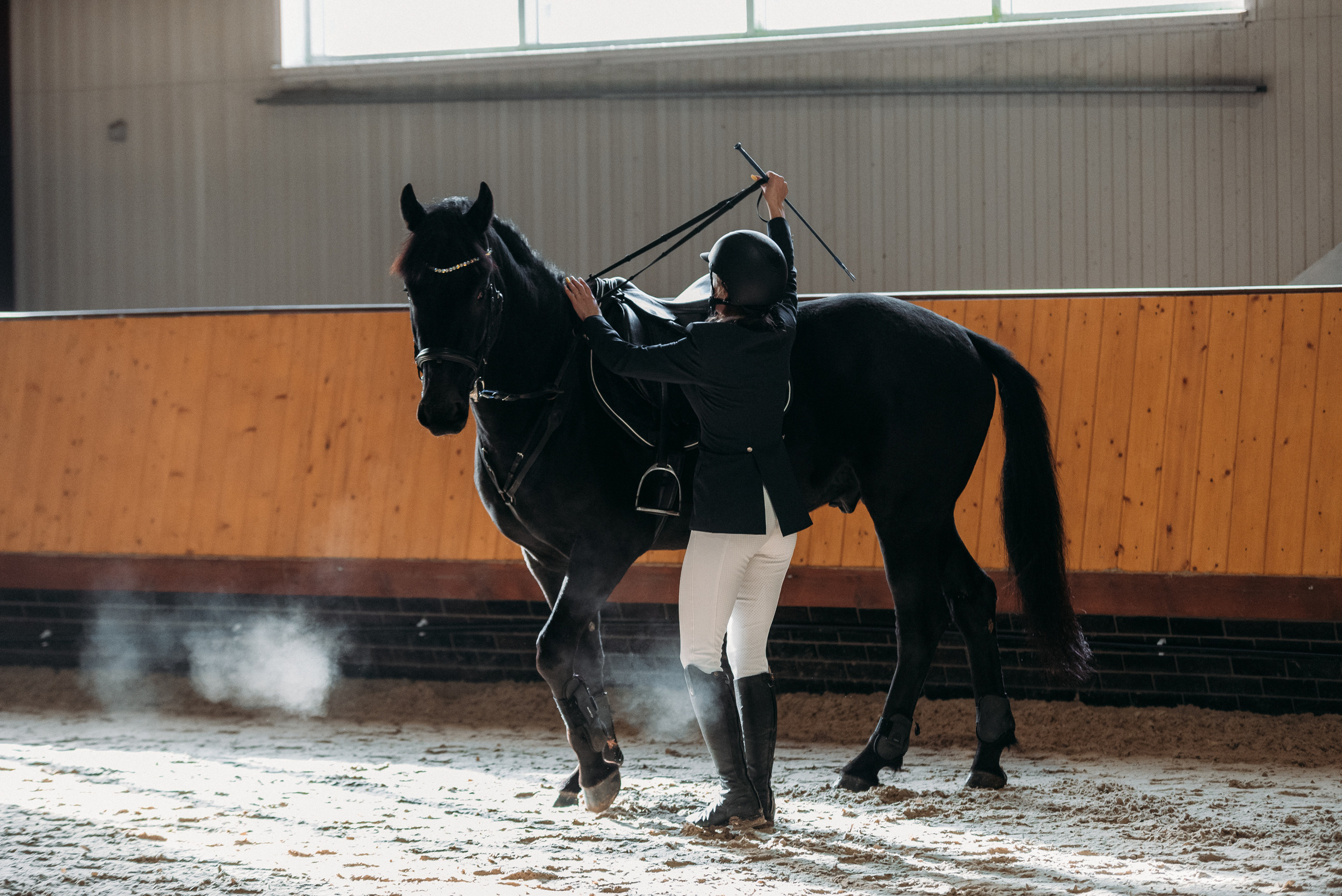 КСК История. Финал 2022 г.Конкур. Фотограф Рязань