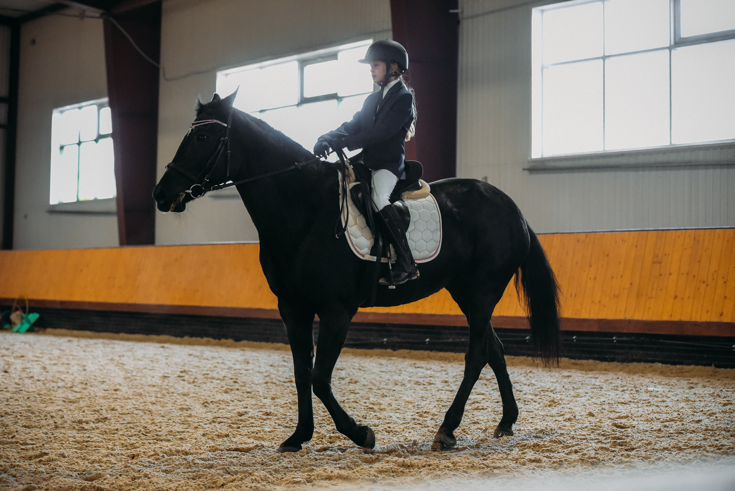 КСК История. Финал 2022 г.Конкур. Фотограф Рязань