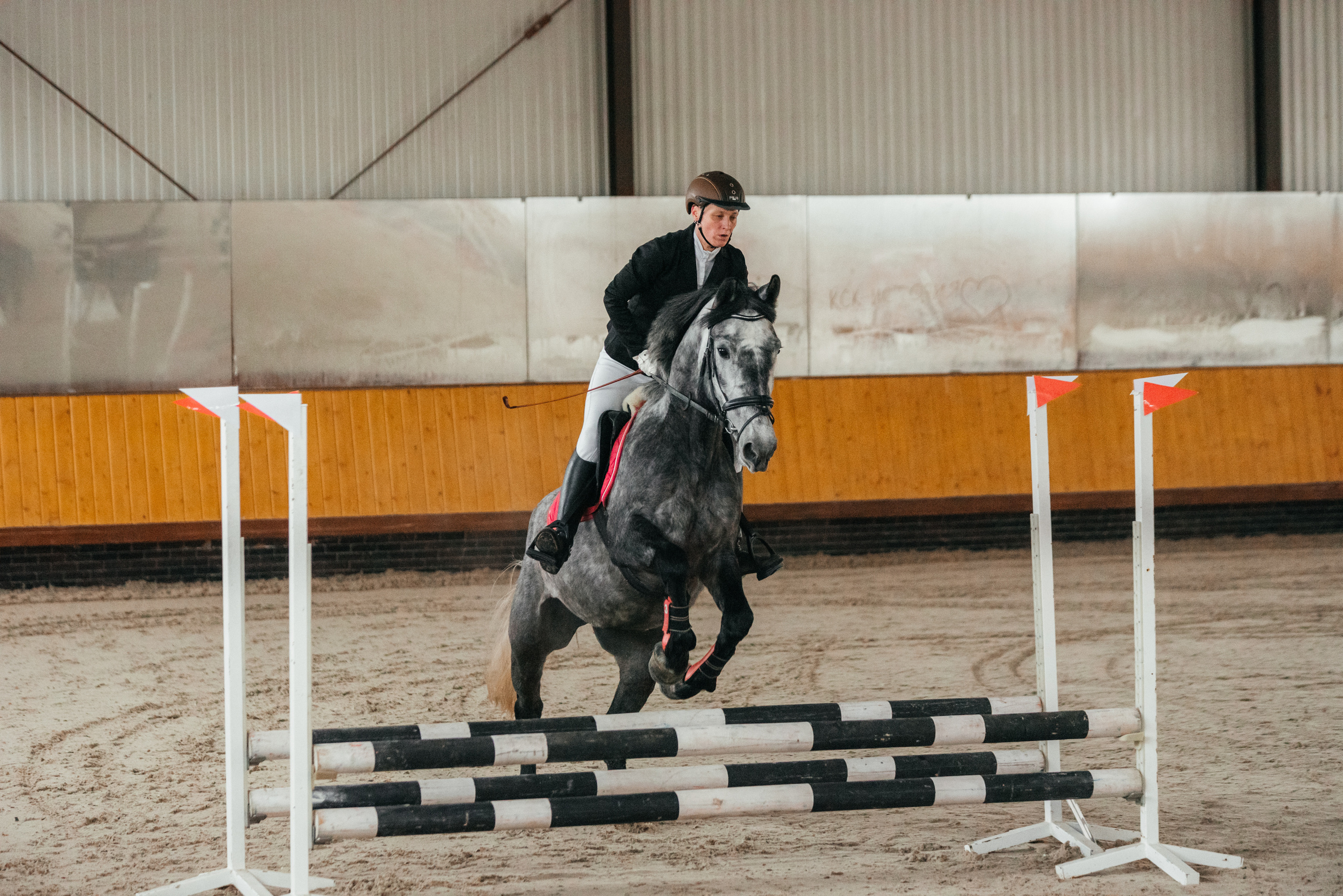 КСК История. 25.02.2023. Конкур. Фотограф Рязань