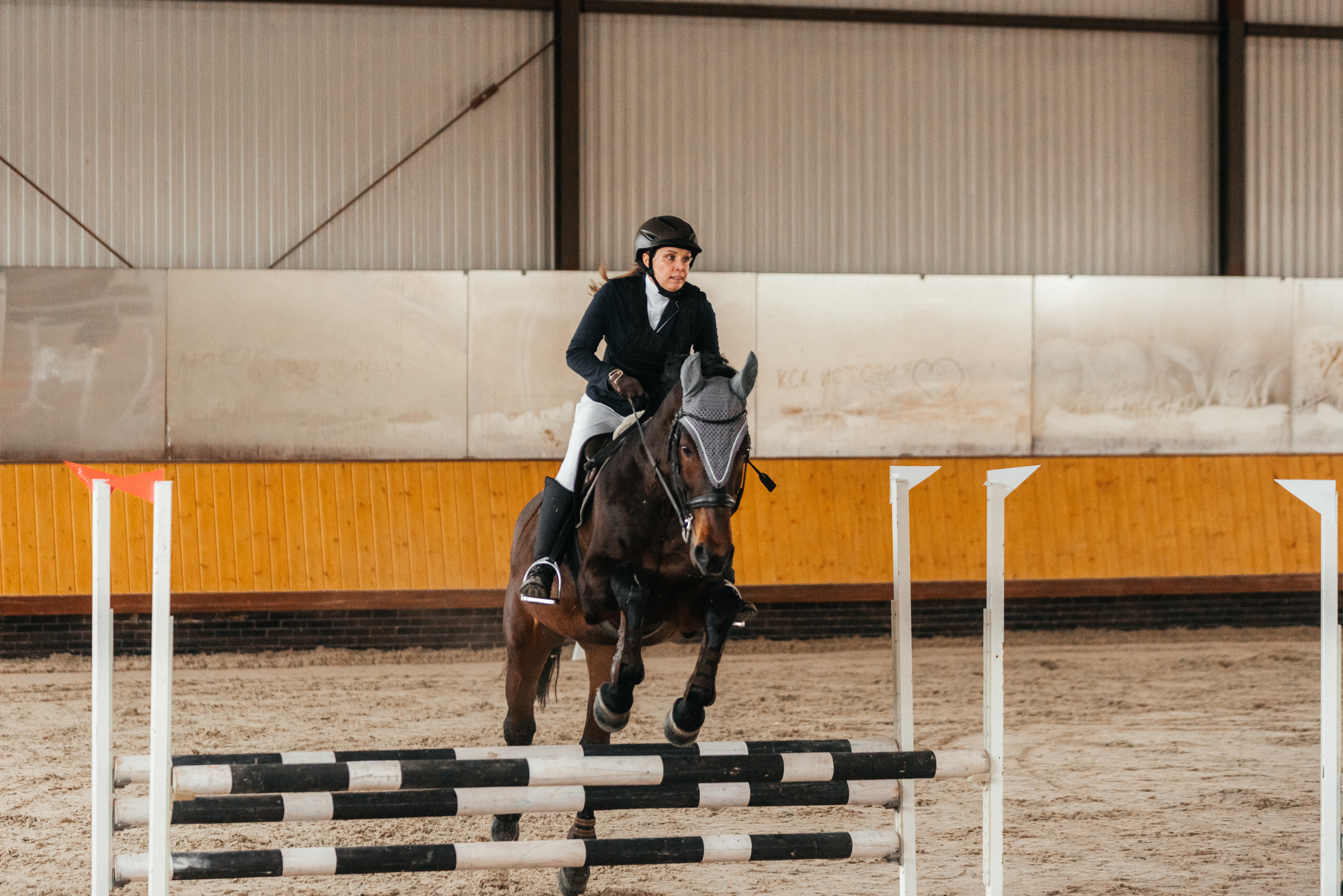 КСК История. 25.02.2023. Конкур. Фотограф Рязань