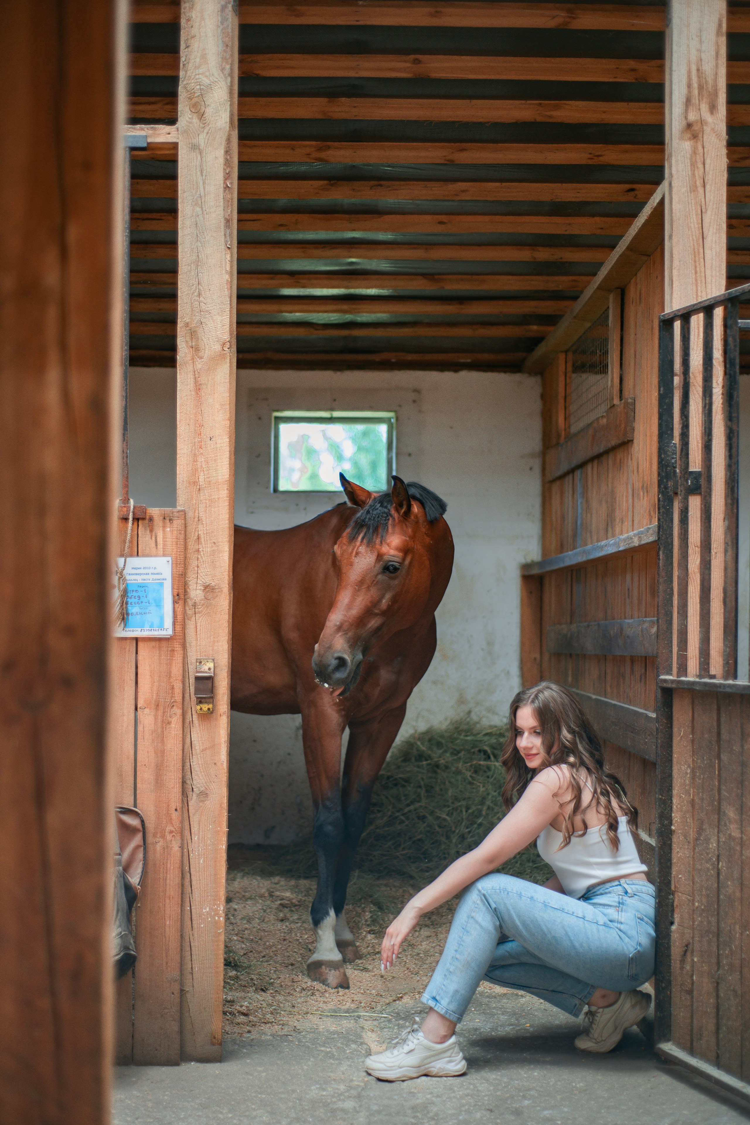 Фотосессии с лошадьми. Фотограф Рязань