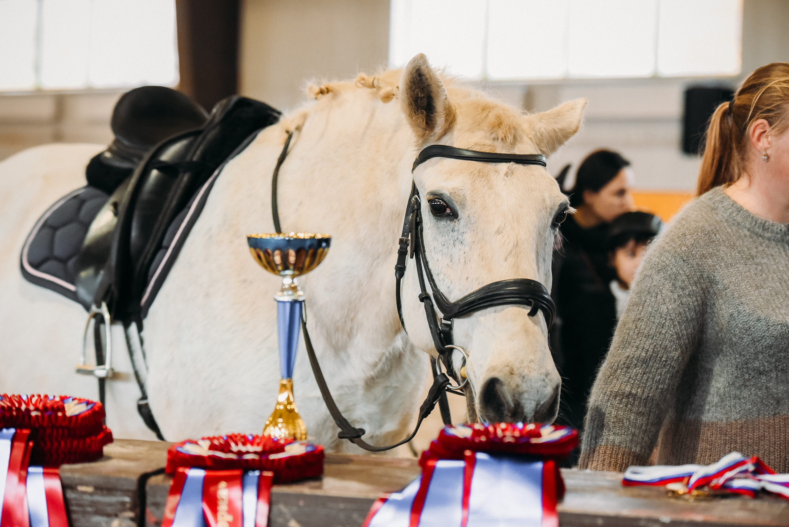КСК История. Финал 2022 г.Конкур. Фотограф Рязань