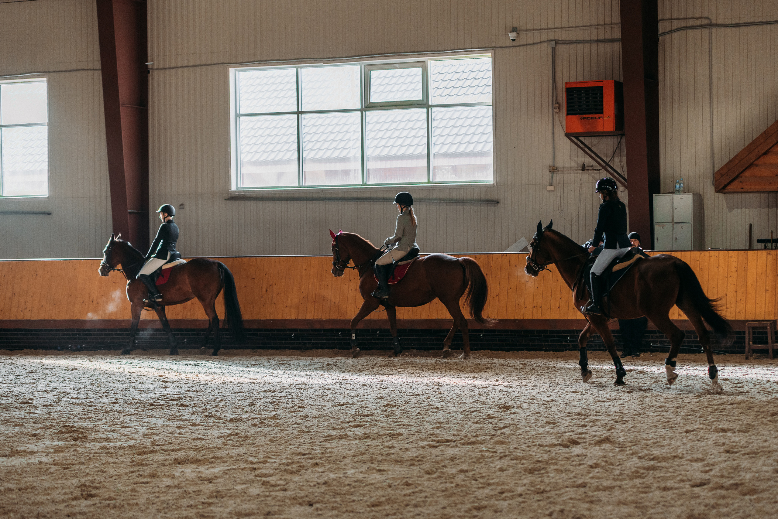 КСК История. Финал 2022 г.Конкур. Фотограф Рязань