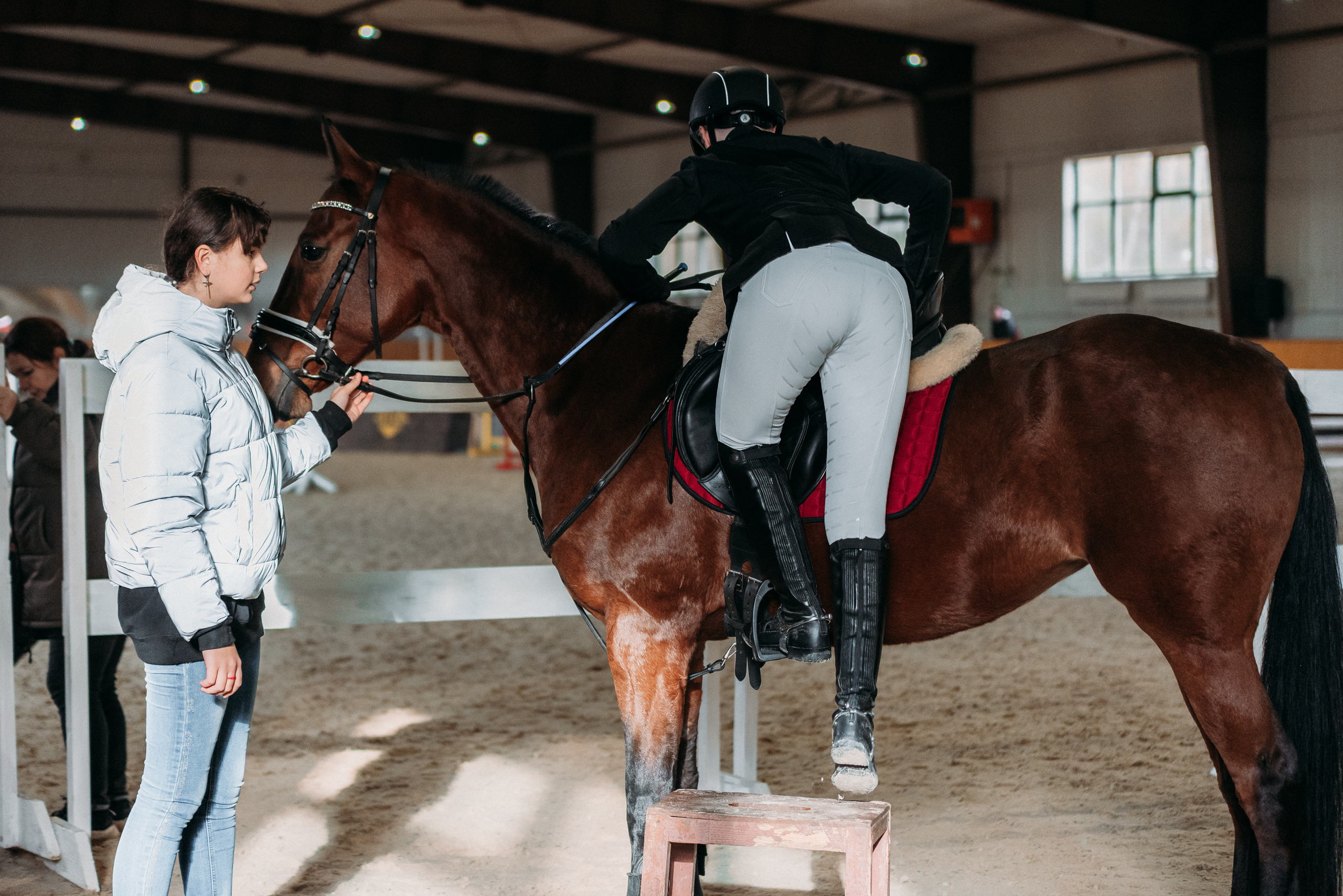 КСК История. Финал 2022 г.Конкур. Фотограф Рязань