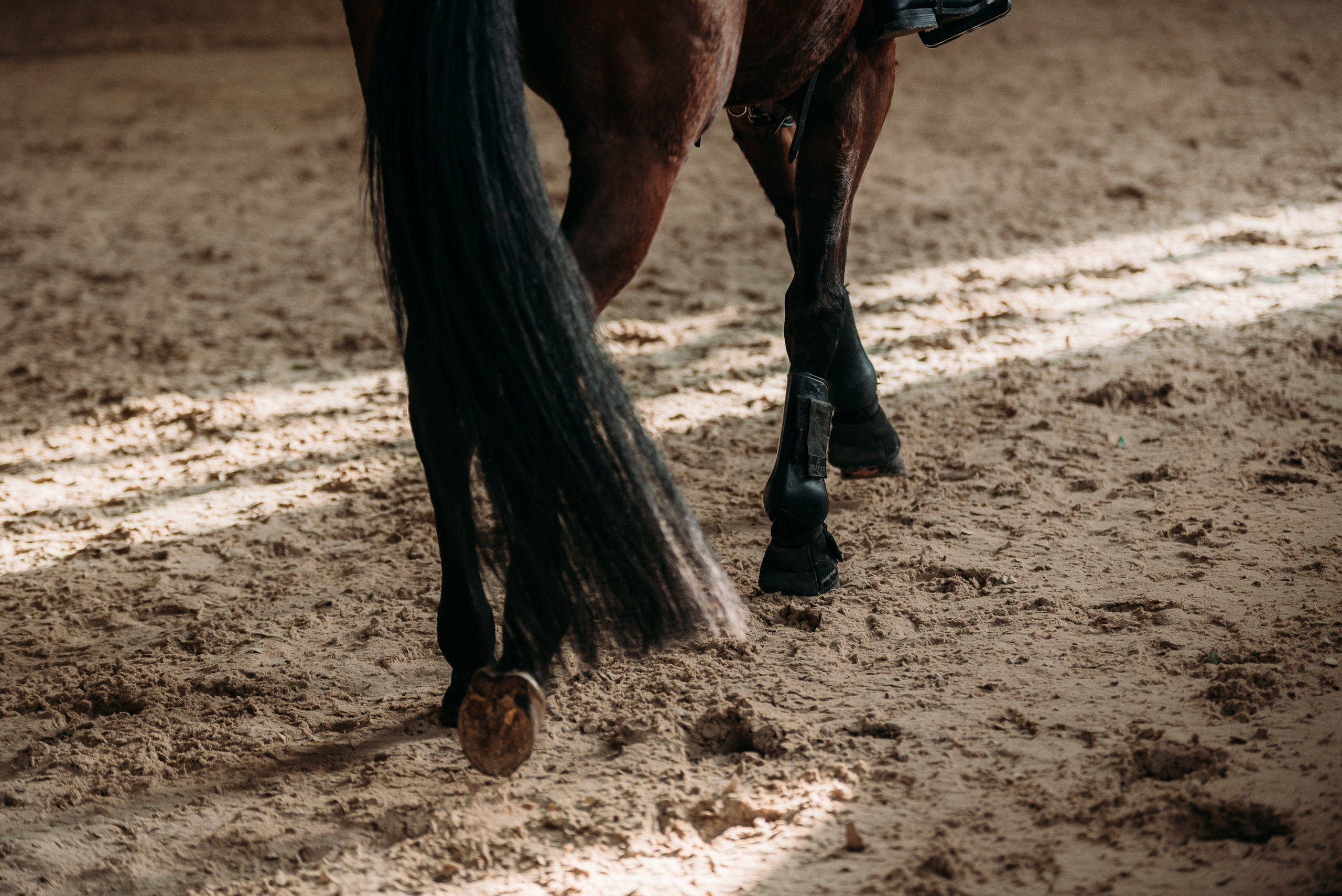 КСК История. Финал 2022 г.Конкур. Фотограф Рязань