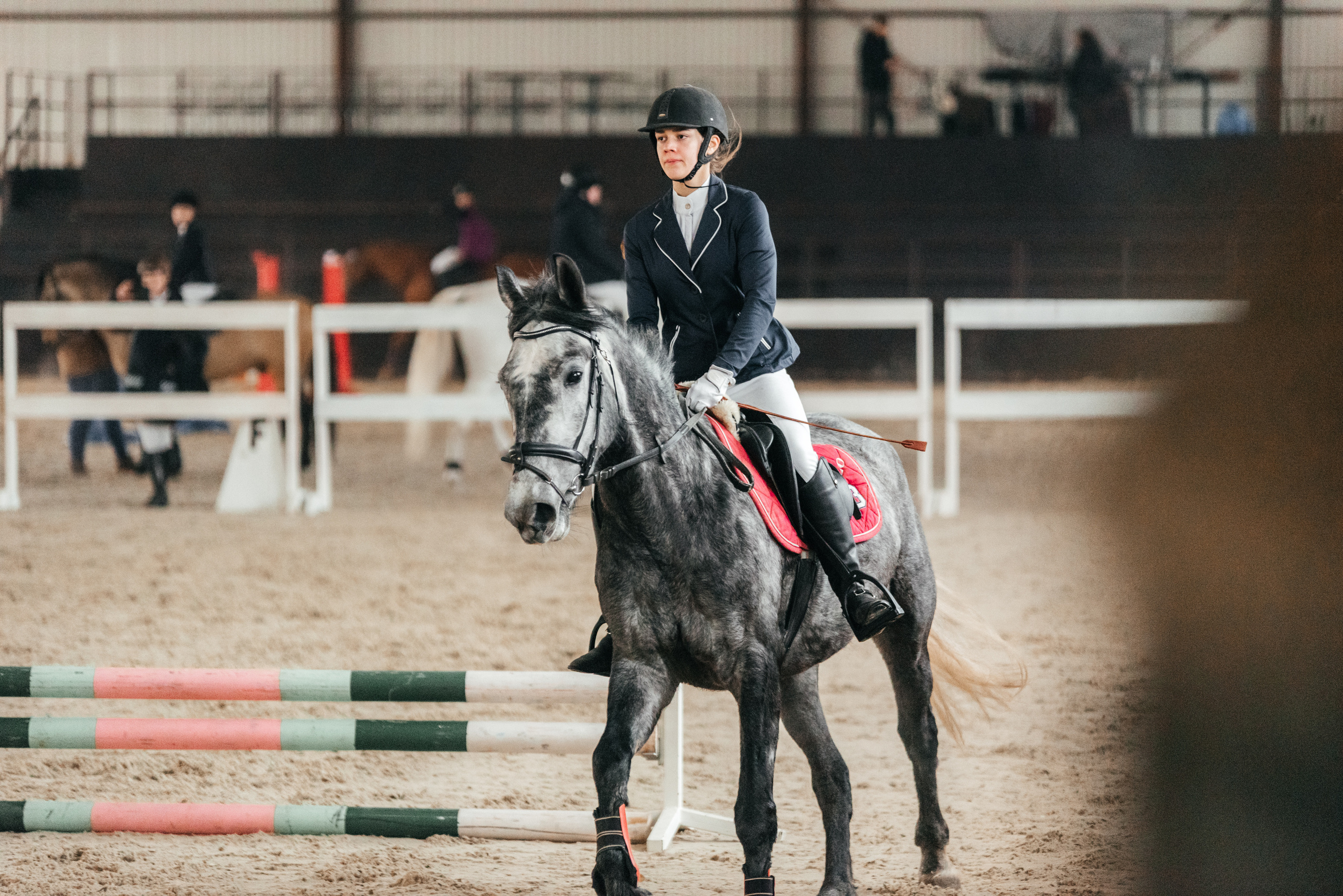 КСК История. 25.02.2023. Конкур. Фотограф Рязань