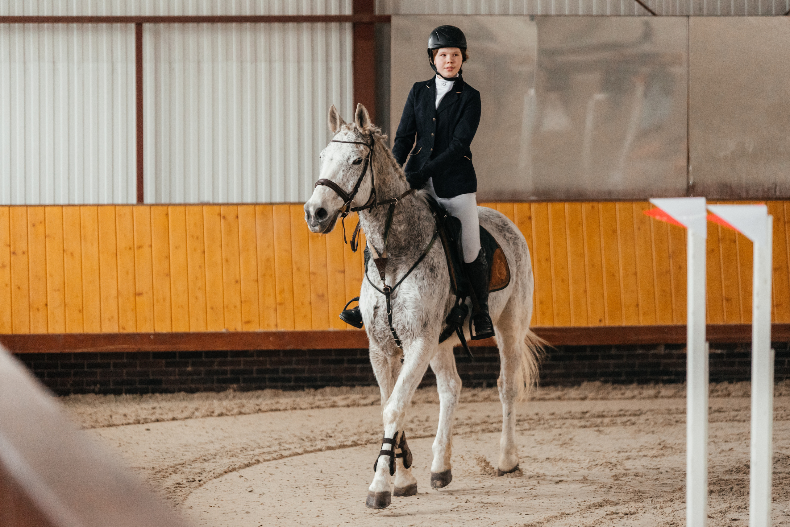 КСК История. 25.02.2023. Конкур. Фотограф Рязань