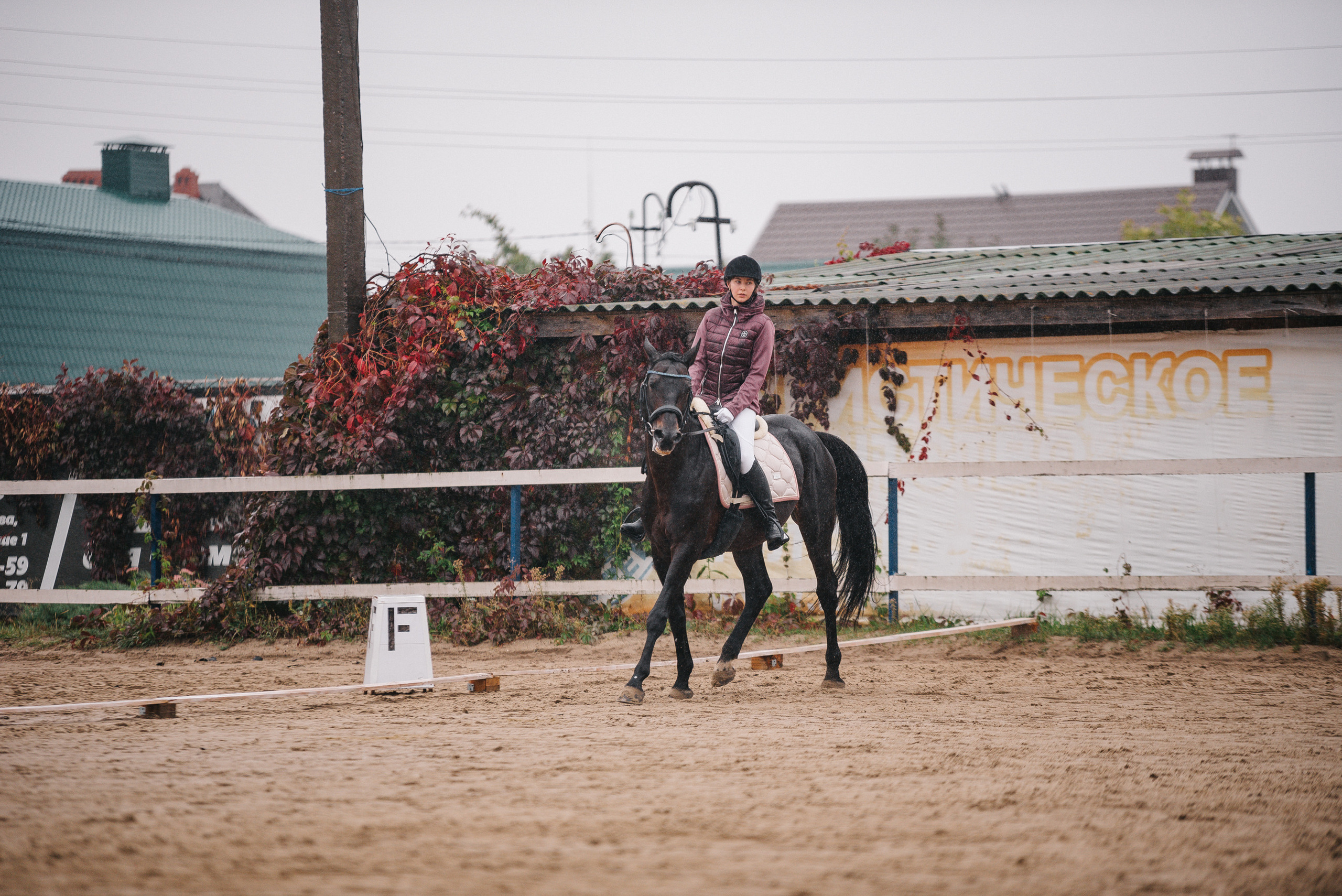 КСК Росинант. Клубные соревнования-выездка. Фотограф Рязань