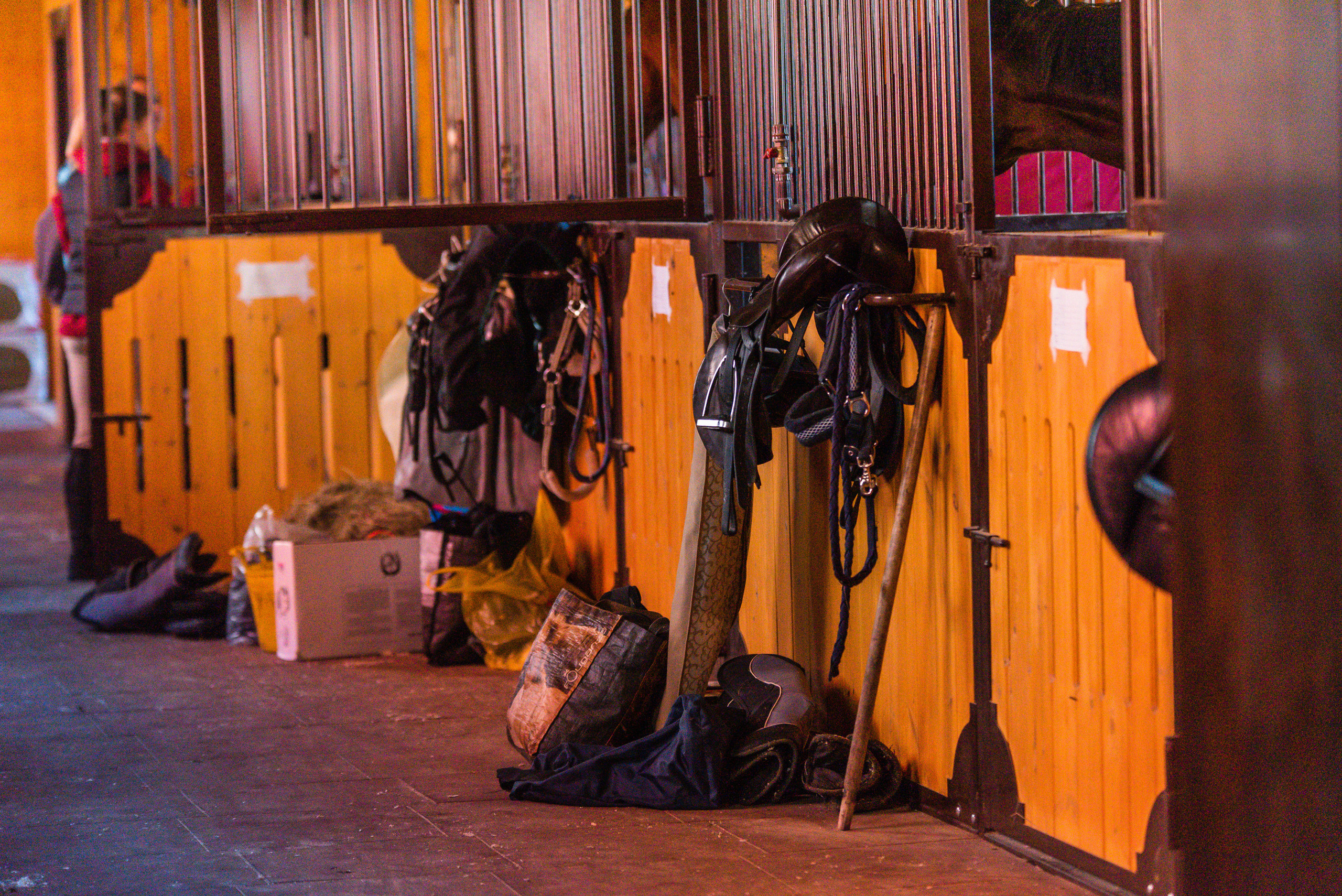 КСК История. Финал 2022 г.Конкур. Фотограф Рязань