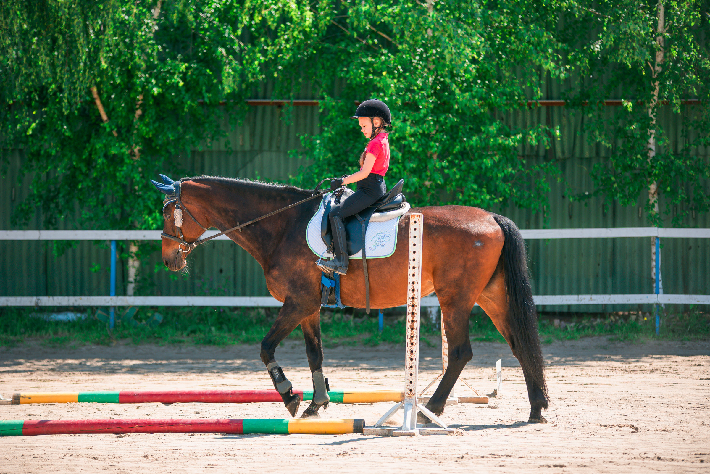 КСК Росинант. Клубные соревнования. Фотограф Рязань