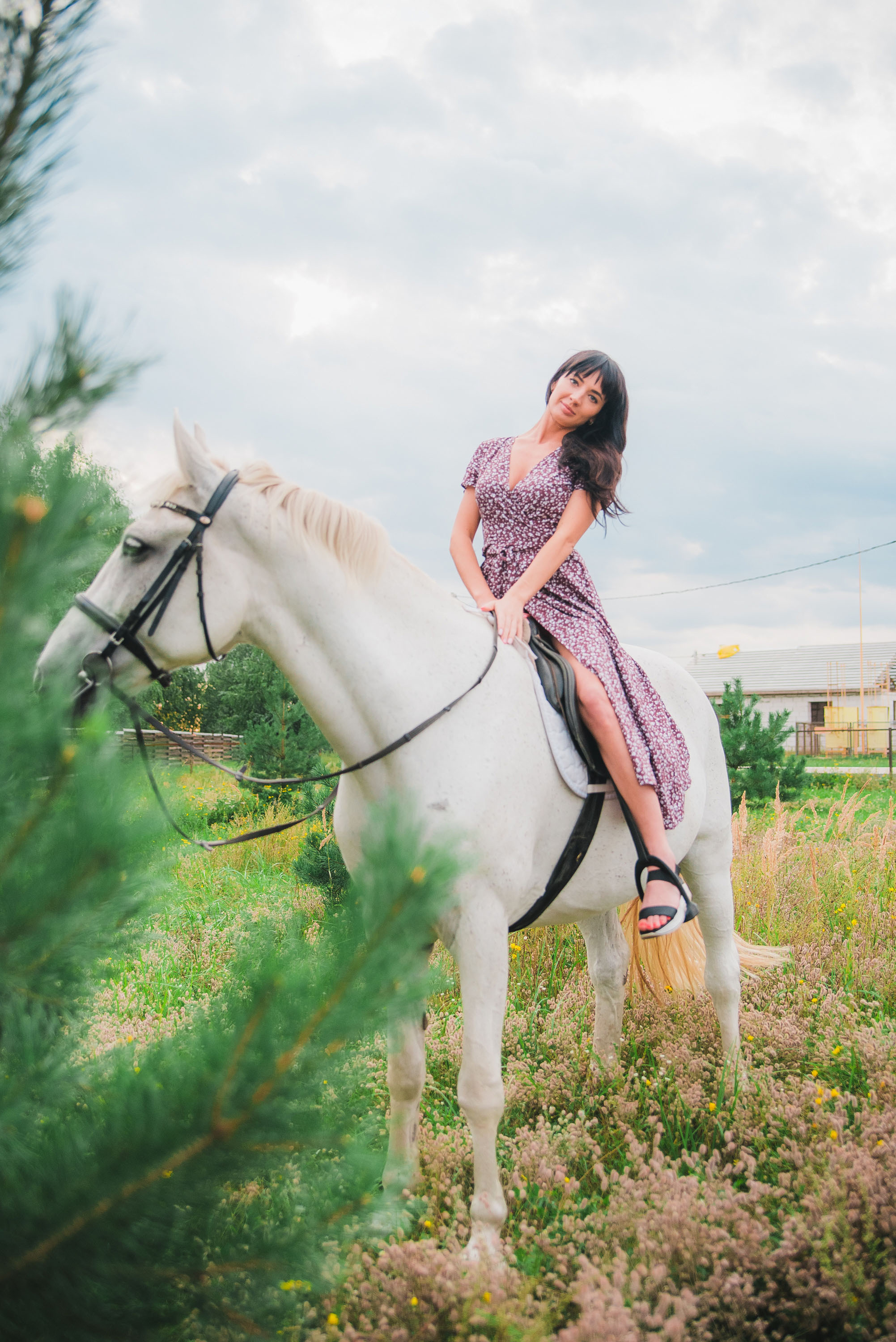 Фотосессии с лошадьми. Фотограф Рязань