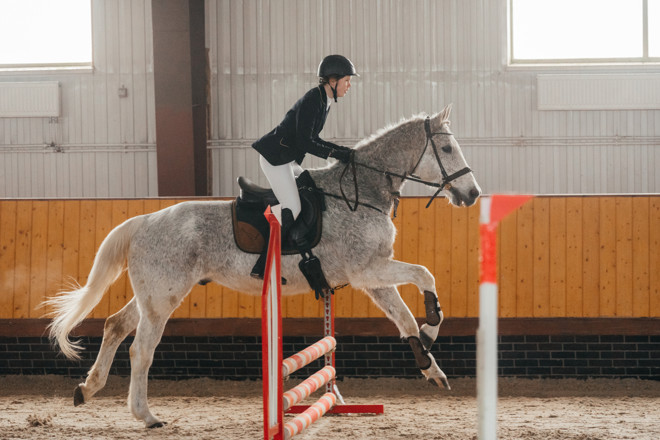 КСК История. 25.02.2023. Конкур. Фотограф Рязань