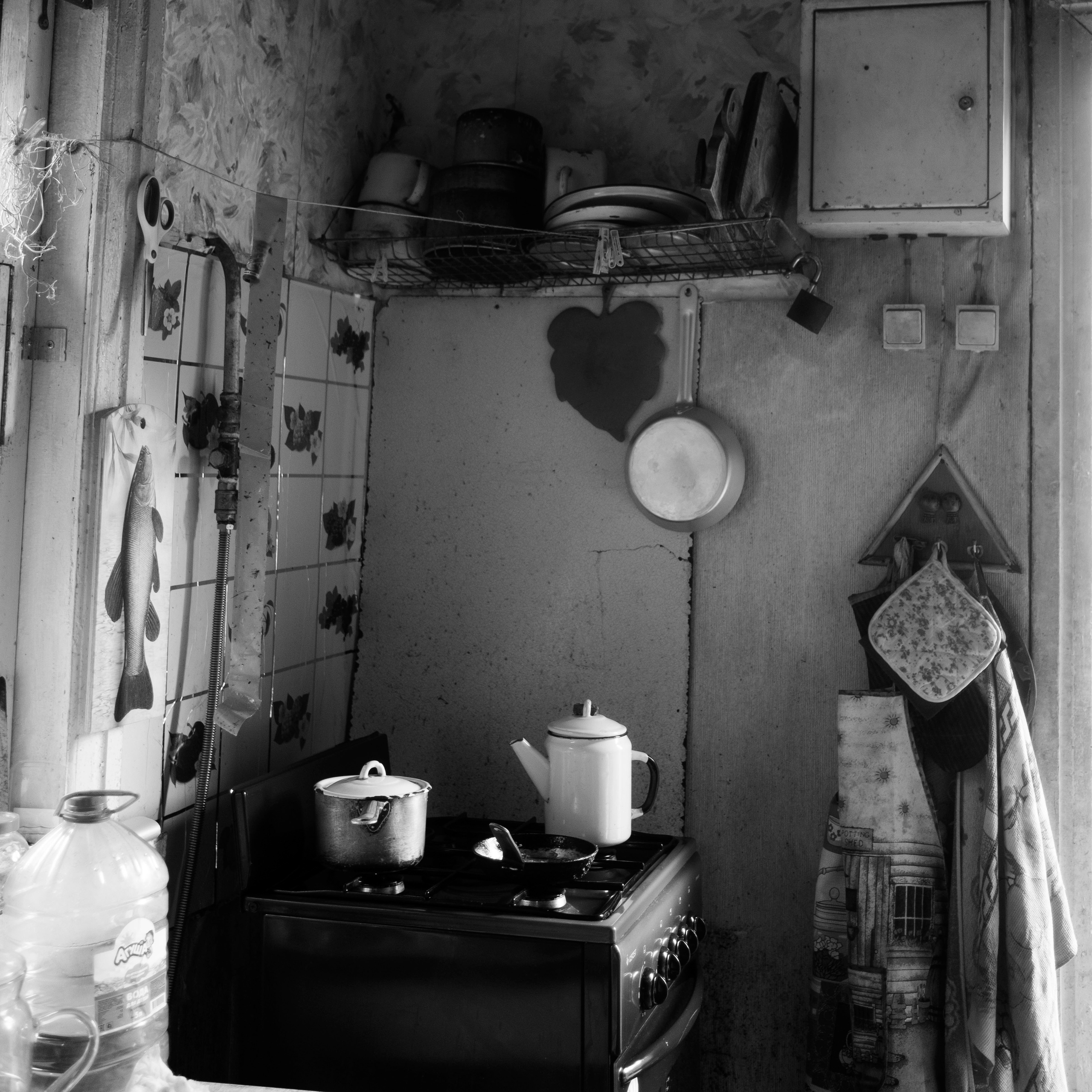 Дача, 2020. Портретный фотограф в Москве Евгения Яковенко