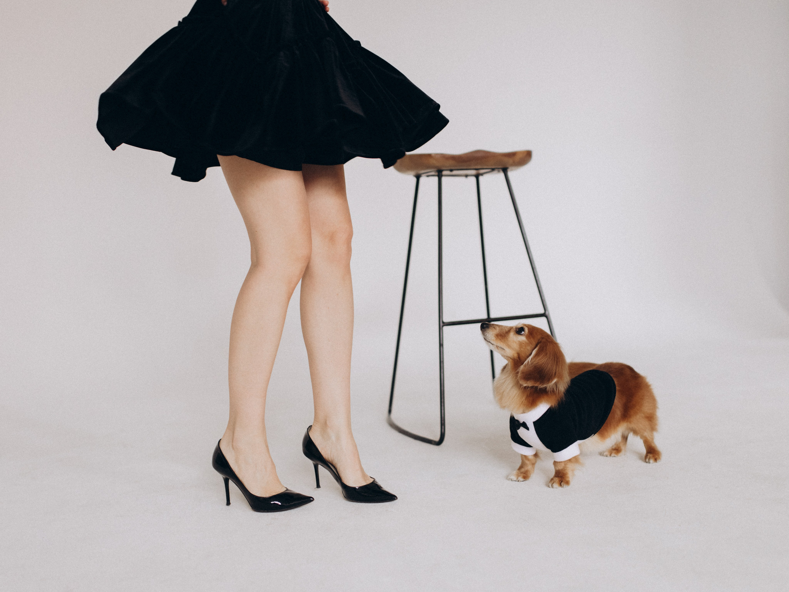 Лимон и Аня. Фотограф-анималист в Москве Кириллова Татьяна