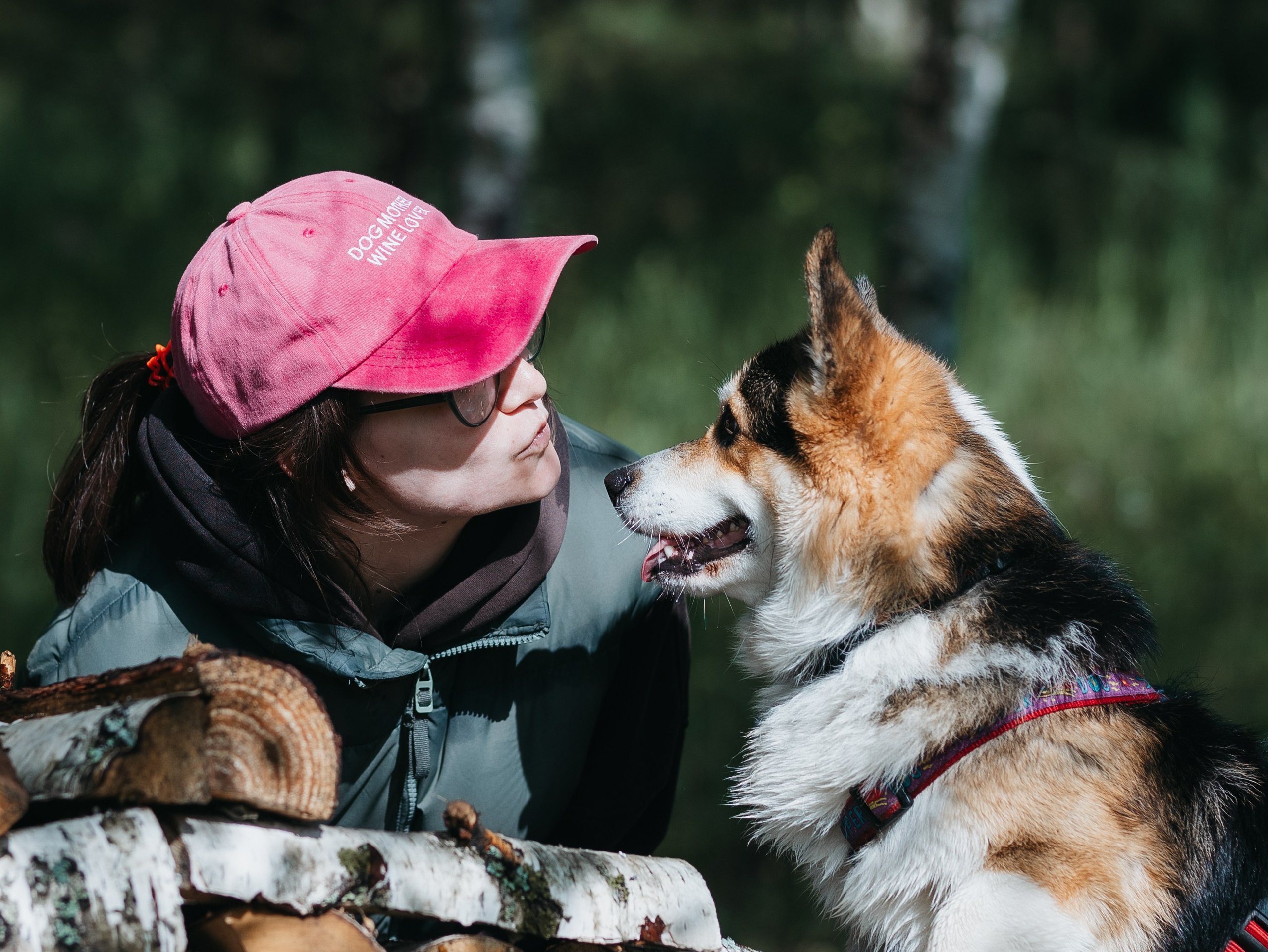 Лагерь ноузворк. Фотограф-анималист в Москве Кириллова Татьяна