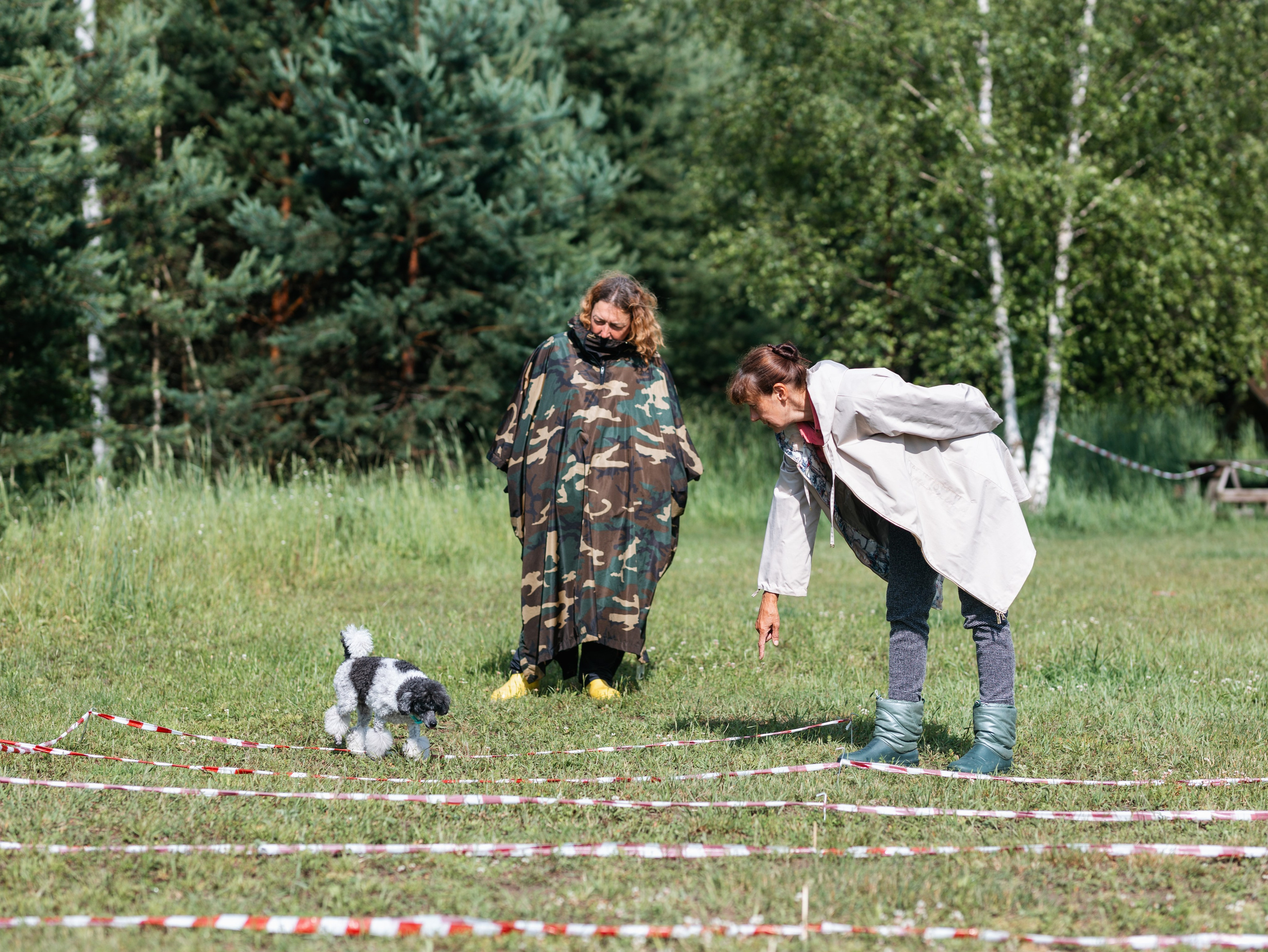 Лагерь ноузворк. Фотограф-анималист в Москве Кириллова Татьяна