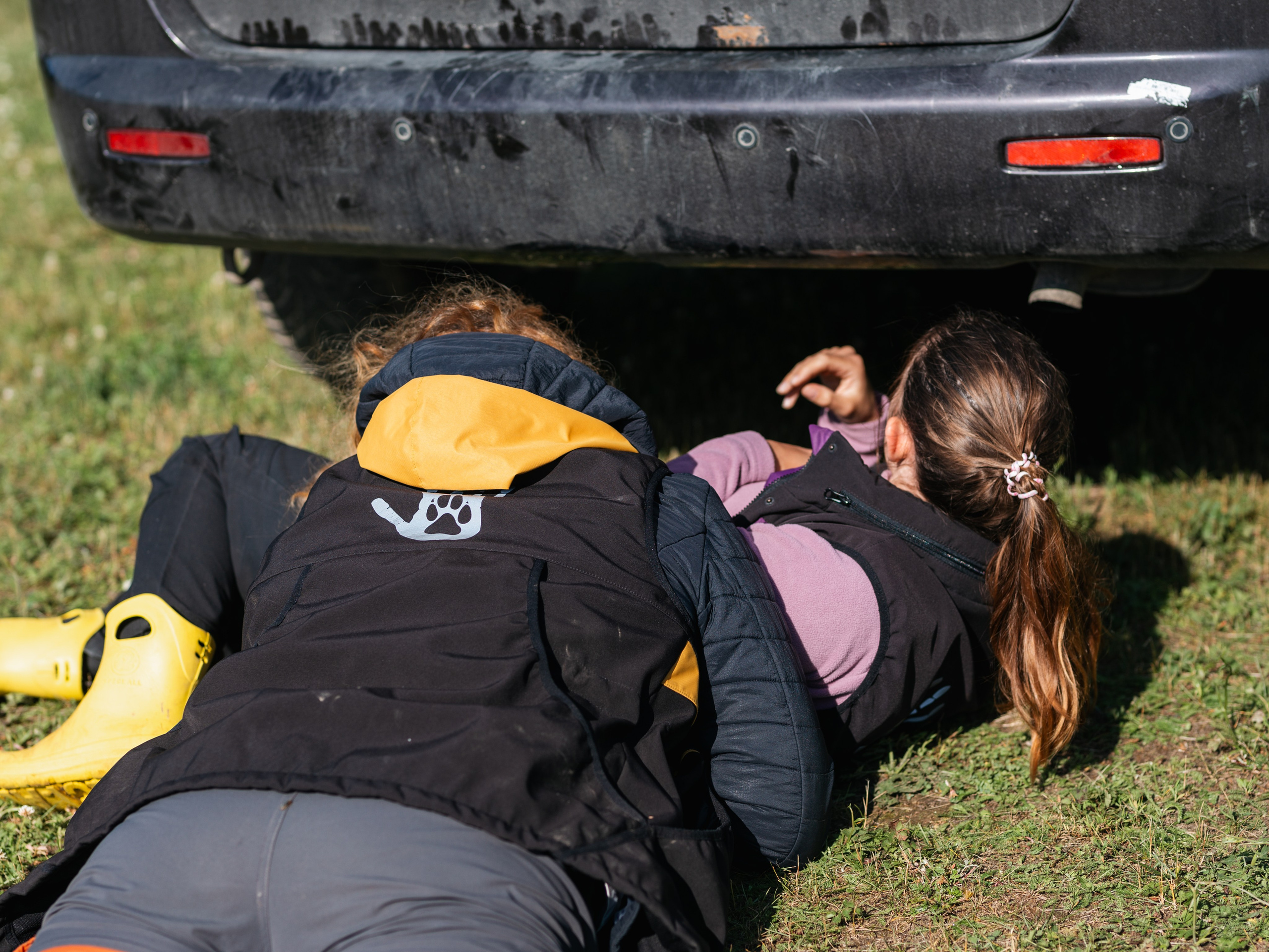 Лагерь ноузворк. Фотограф-анималист в Москве Кириллова Татьяна