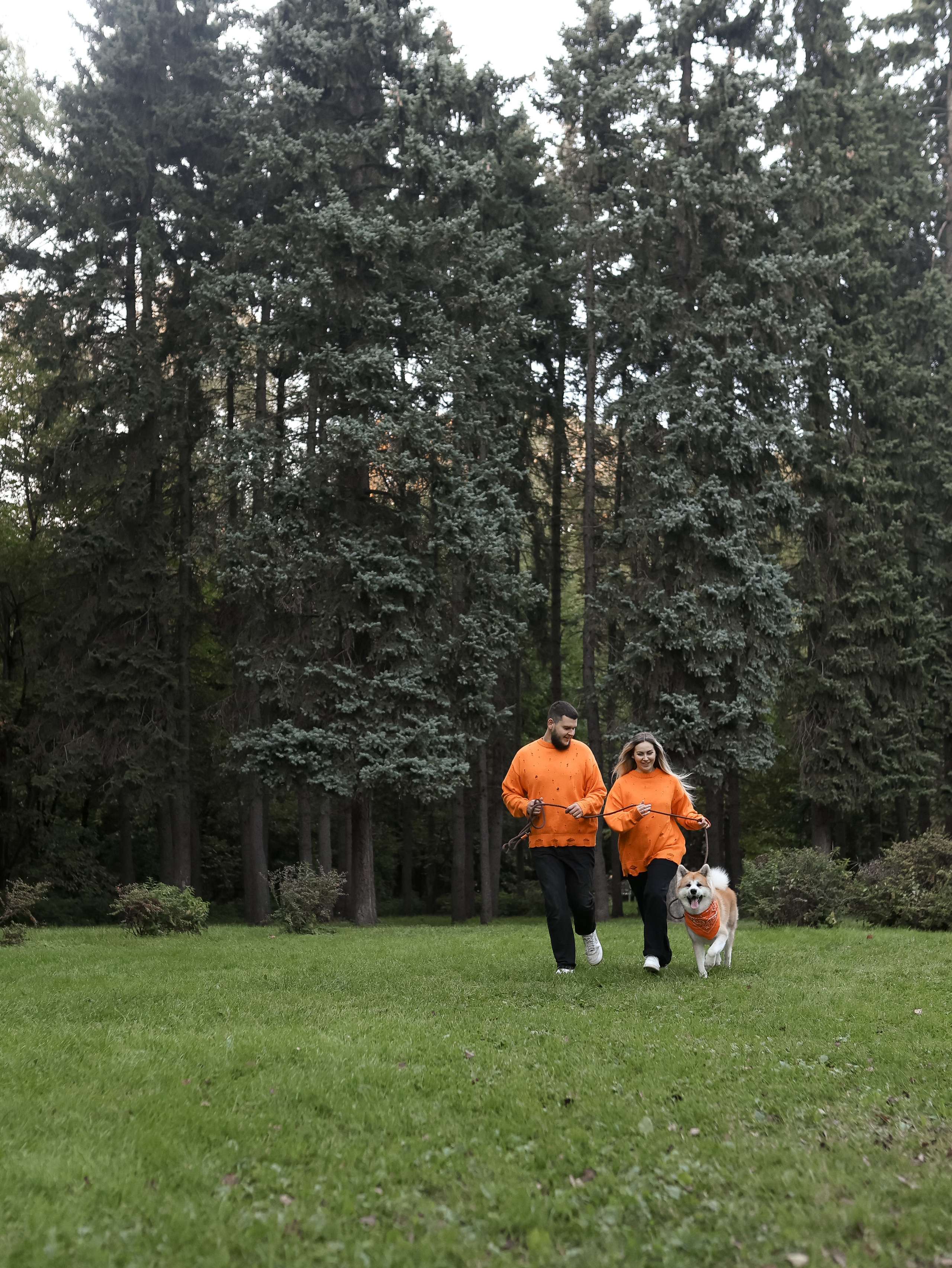 Гранд, Вика и Степан. Фотограф-анималист в Москве Кириллова Татьяна