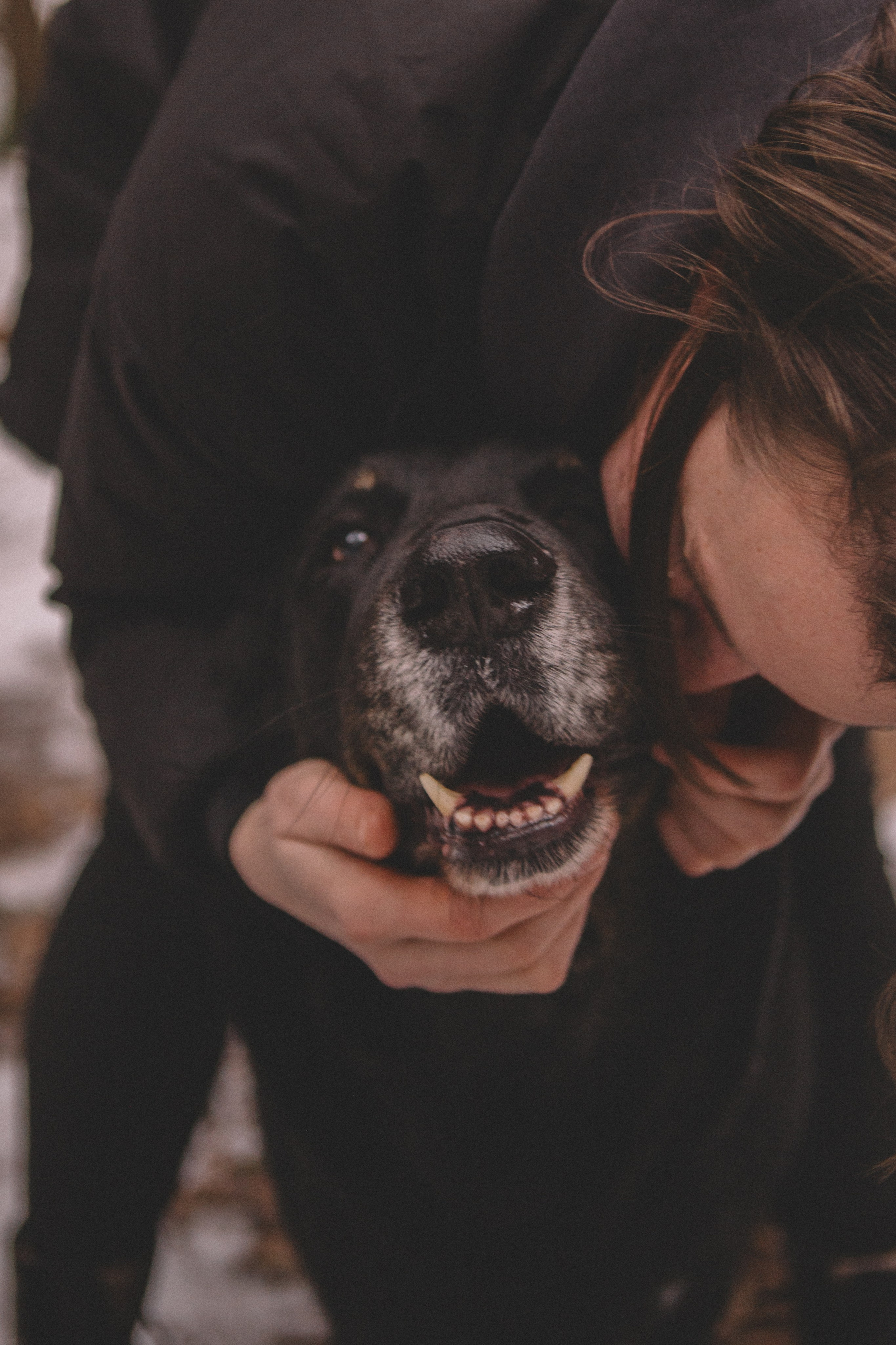 Alyona & Felix. Portrait, family and pet photographer in Cyprus, Ksenia Bourdelle