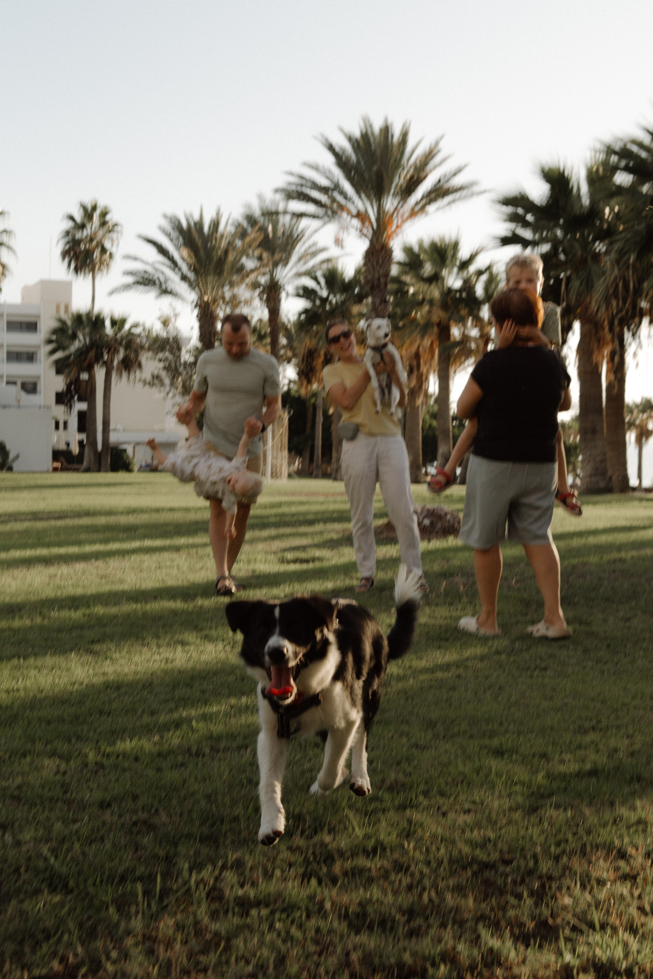 Melymko fam. Portrait, family and pet photographer in Cyprus, Ksenia Bourdelle