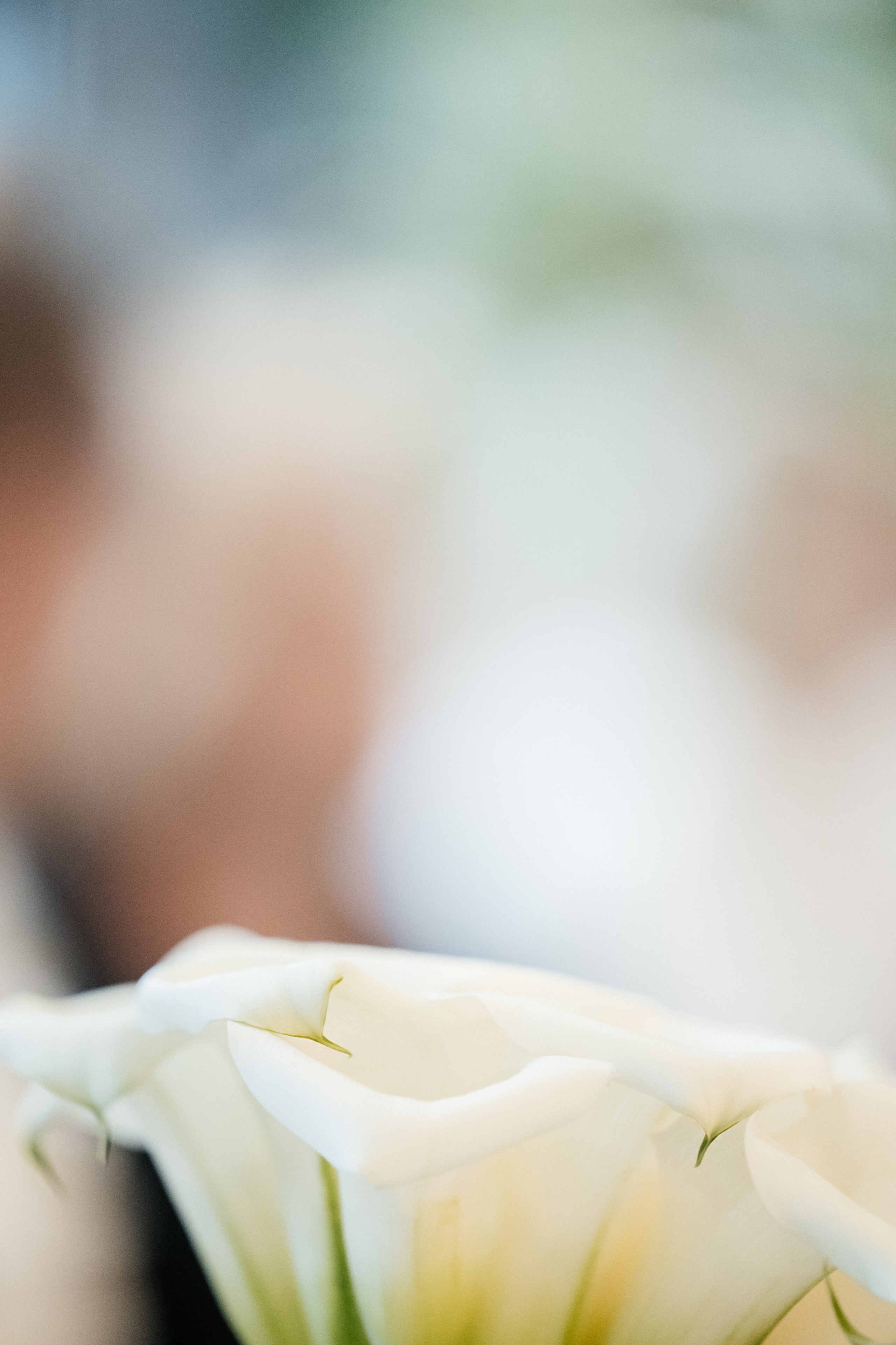 Ярослав & Надежда. Фотограф Москва Людмила Белова