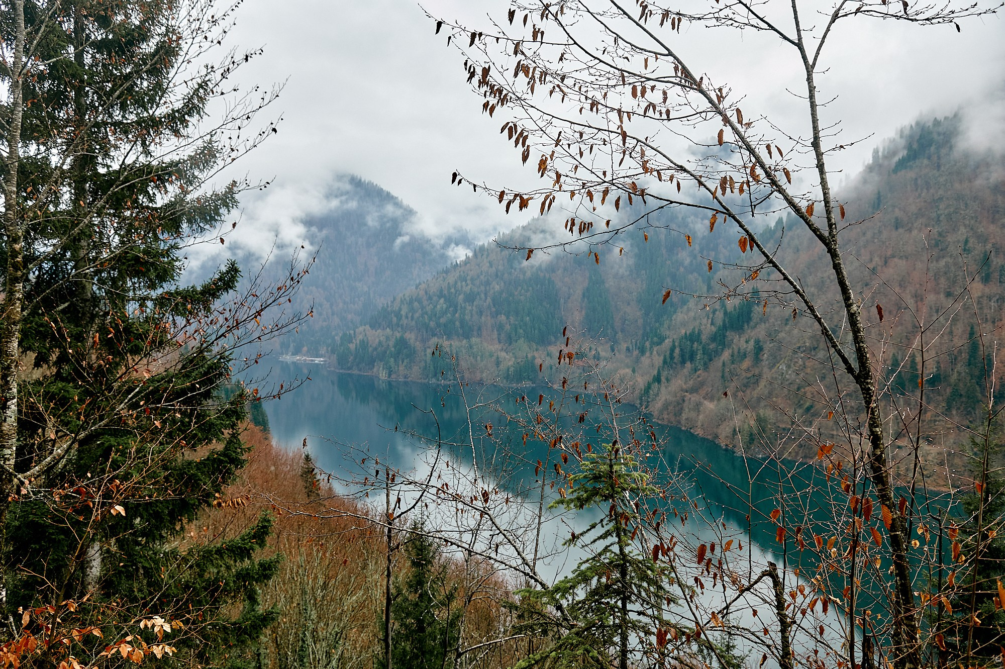 Озеро Рица, Абхазия. Декабрь 2024. Фотографии отовсюду и обо всем