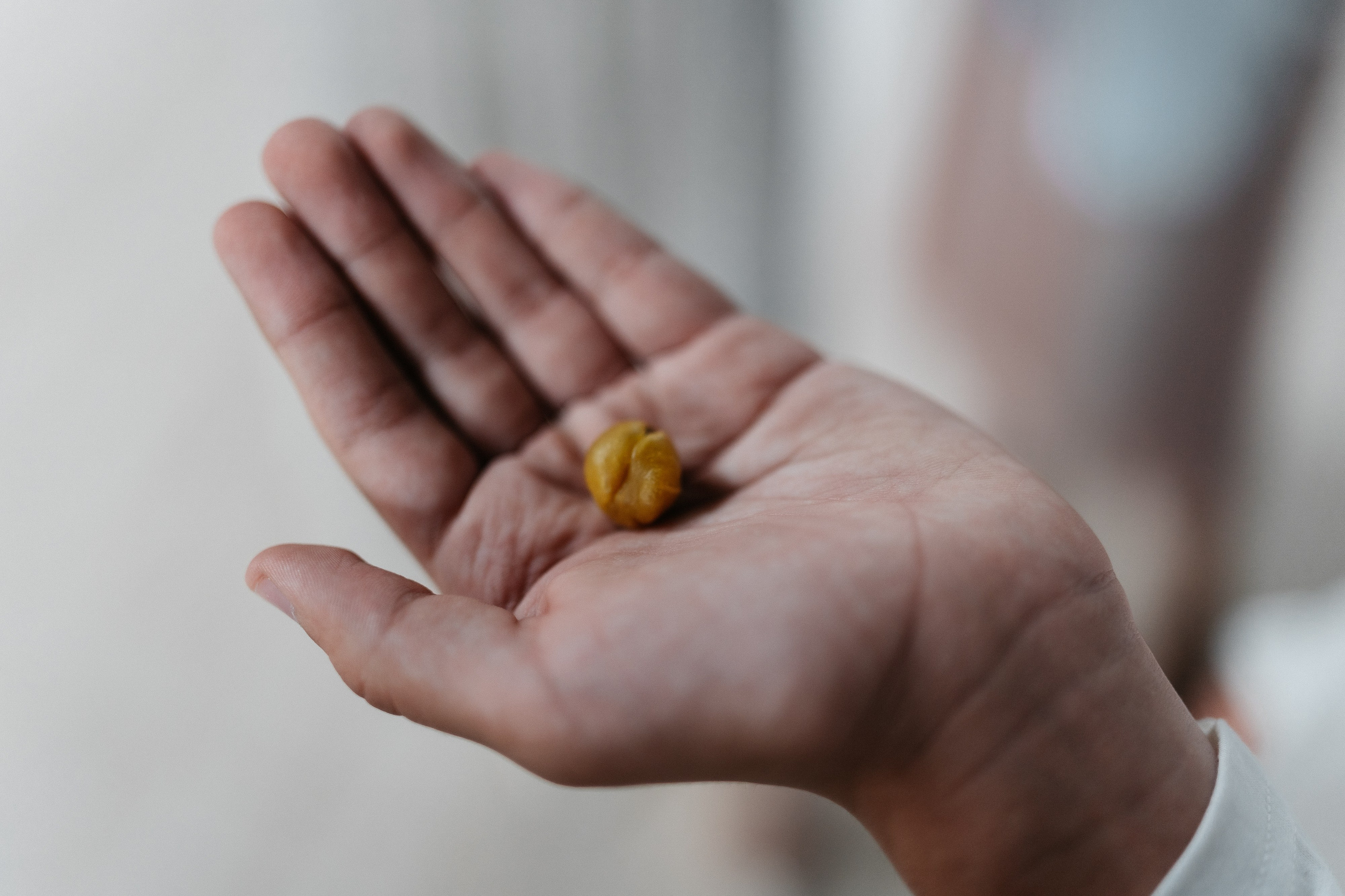 Крещение. Фотограф Олег Сотник