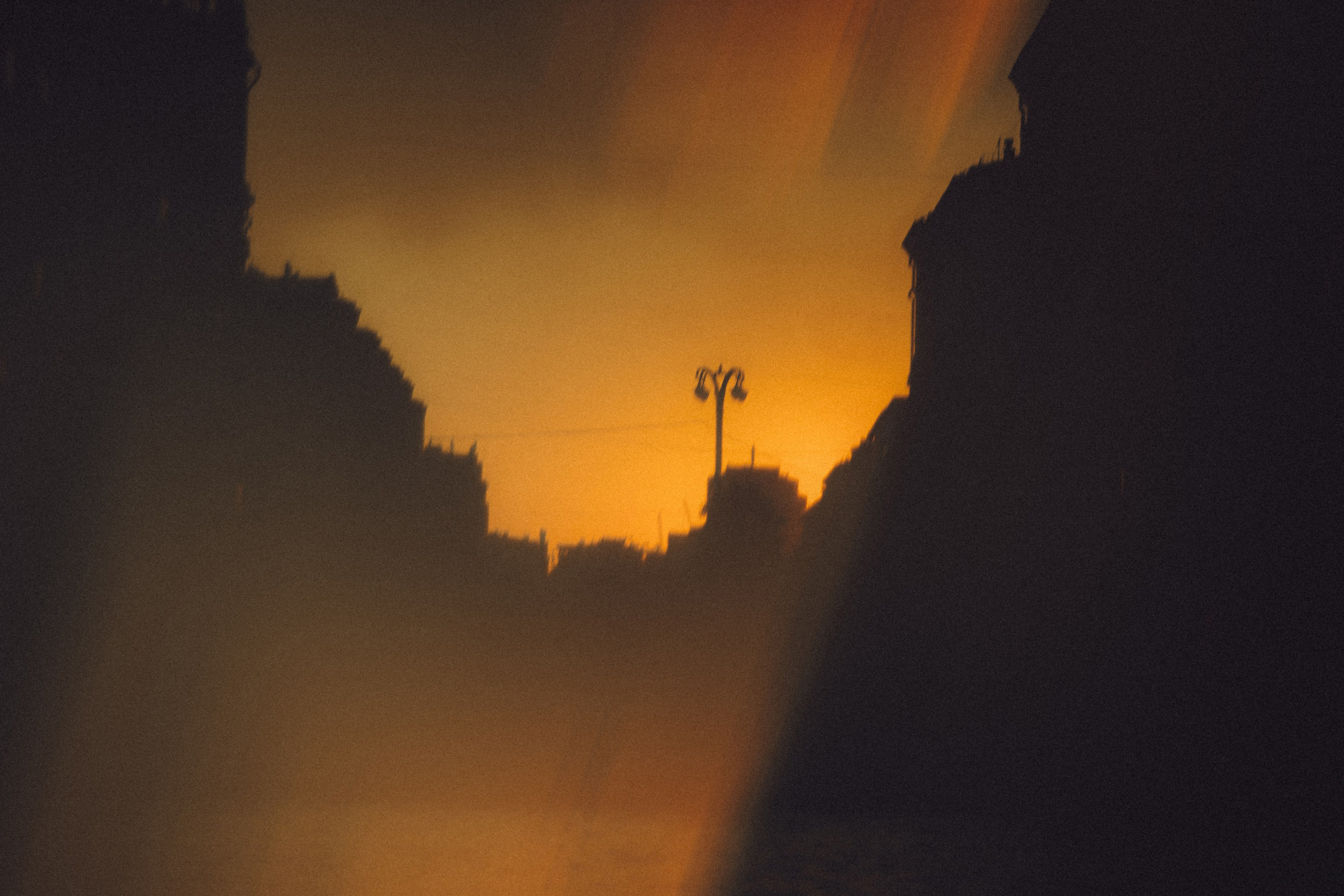 Настя и Симба