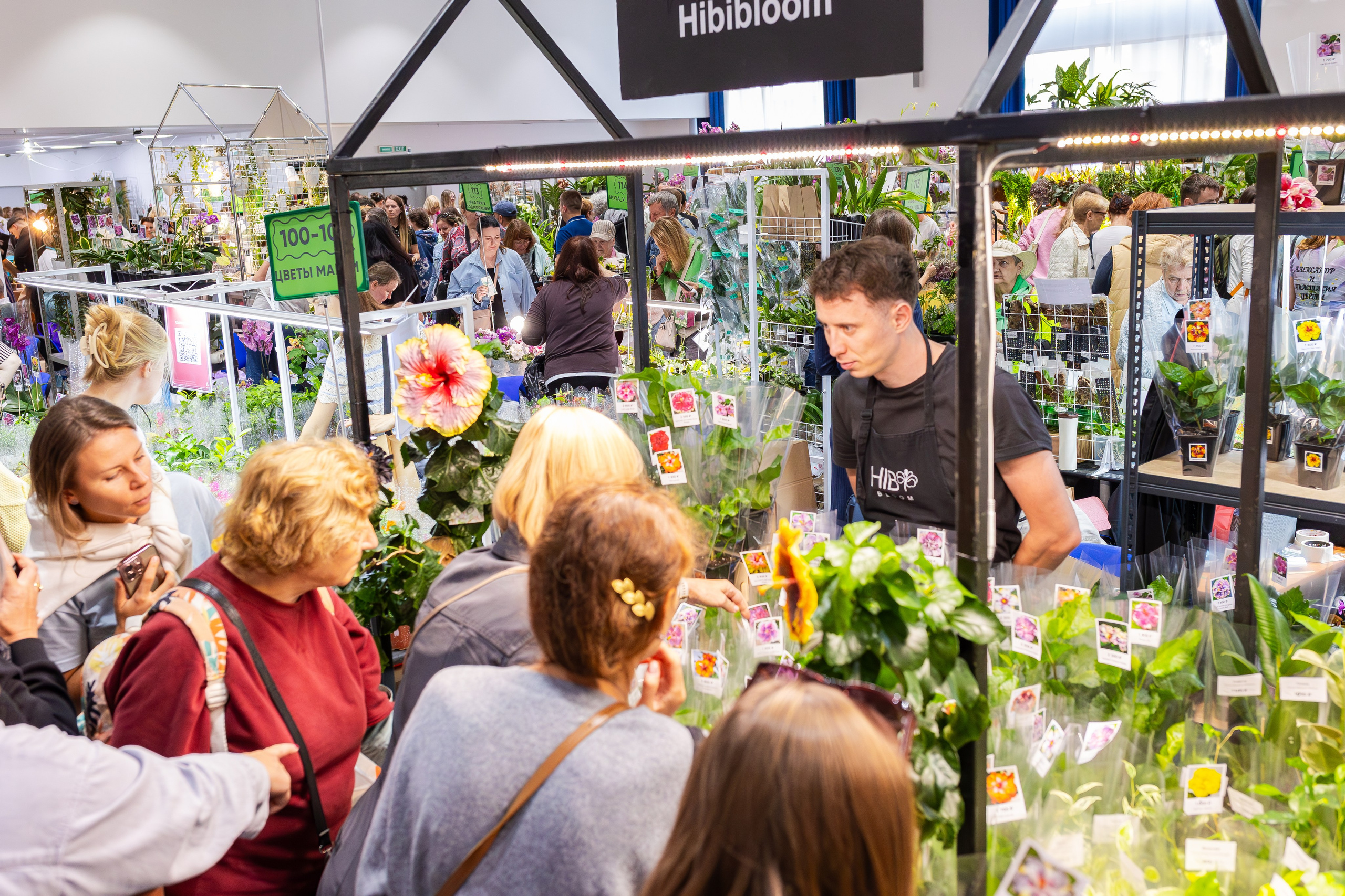 Орхидиум сентябрь 2025. Александра Куликова фотограф, Москва