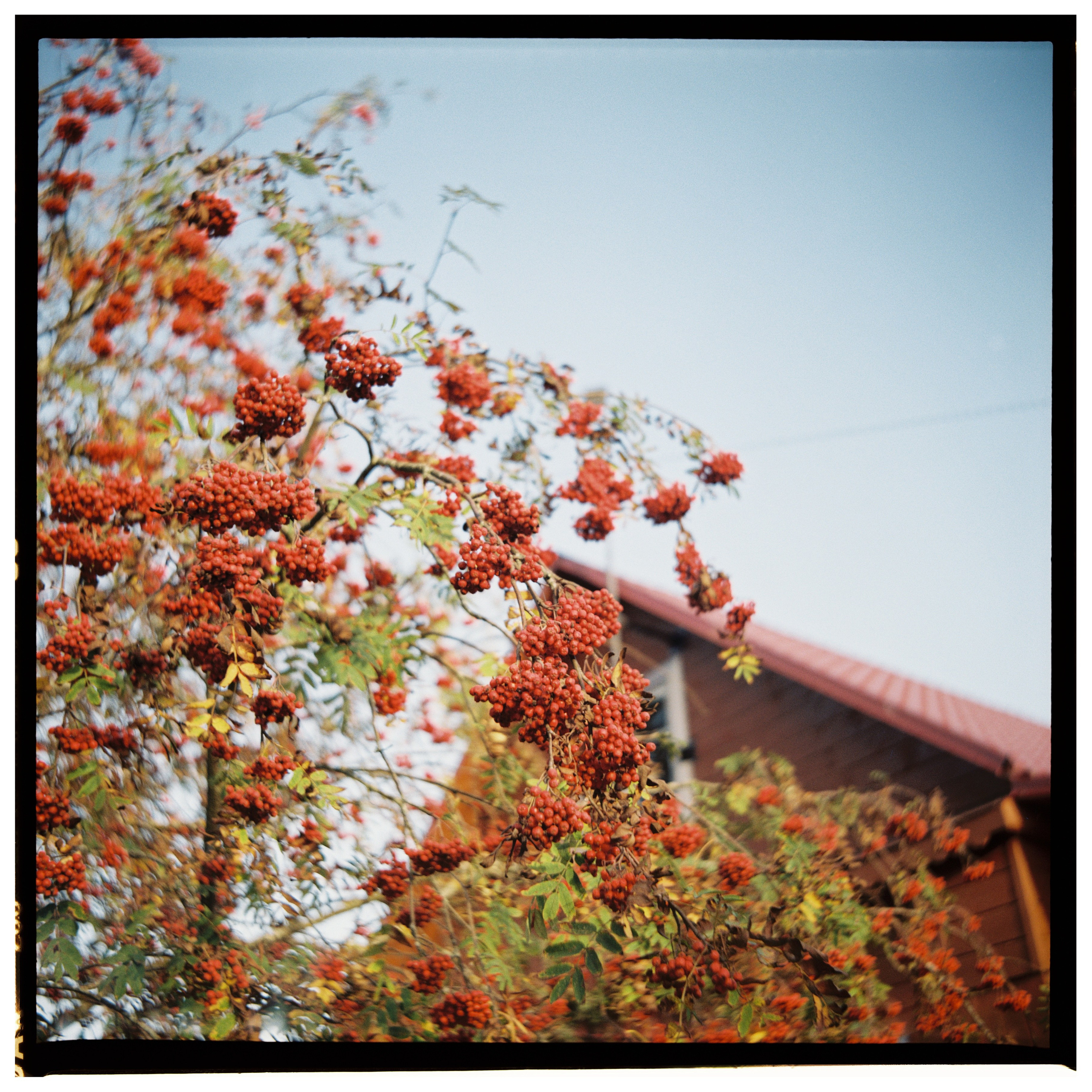 Жизнь. Фотограф Анастасия Чеботарева