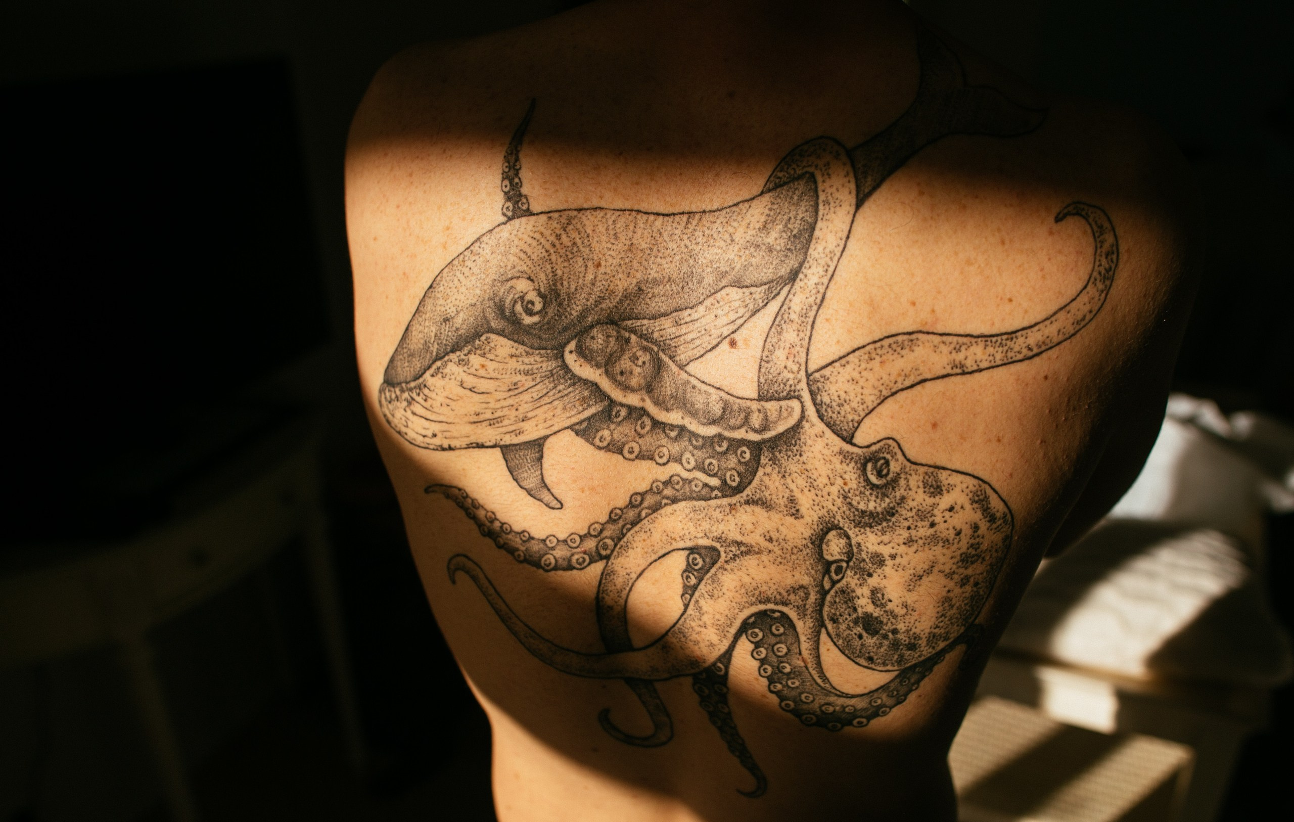 ISLANDSKAYA_SKAZKA. Wedding photographer in Europe