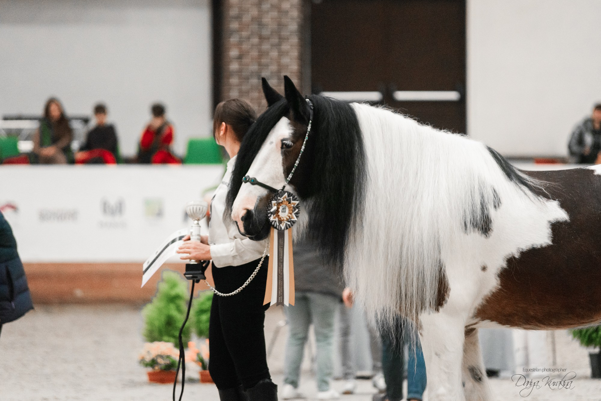 8-я международная выставка Конная Россия. Конный фотограф Куракина Дарья • Фотосессии с лошадьми