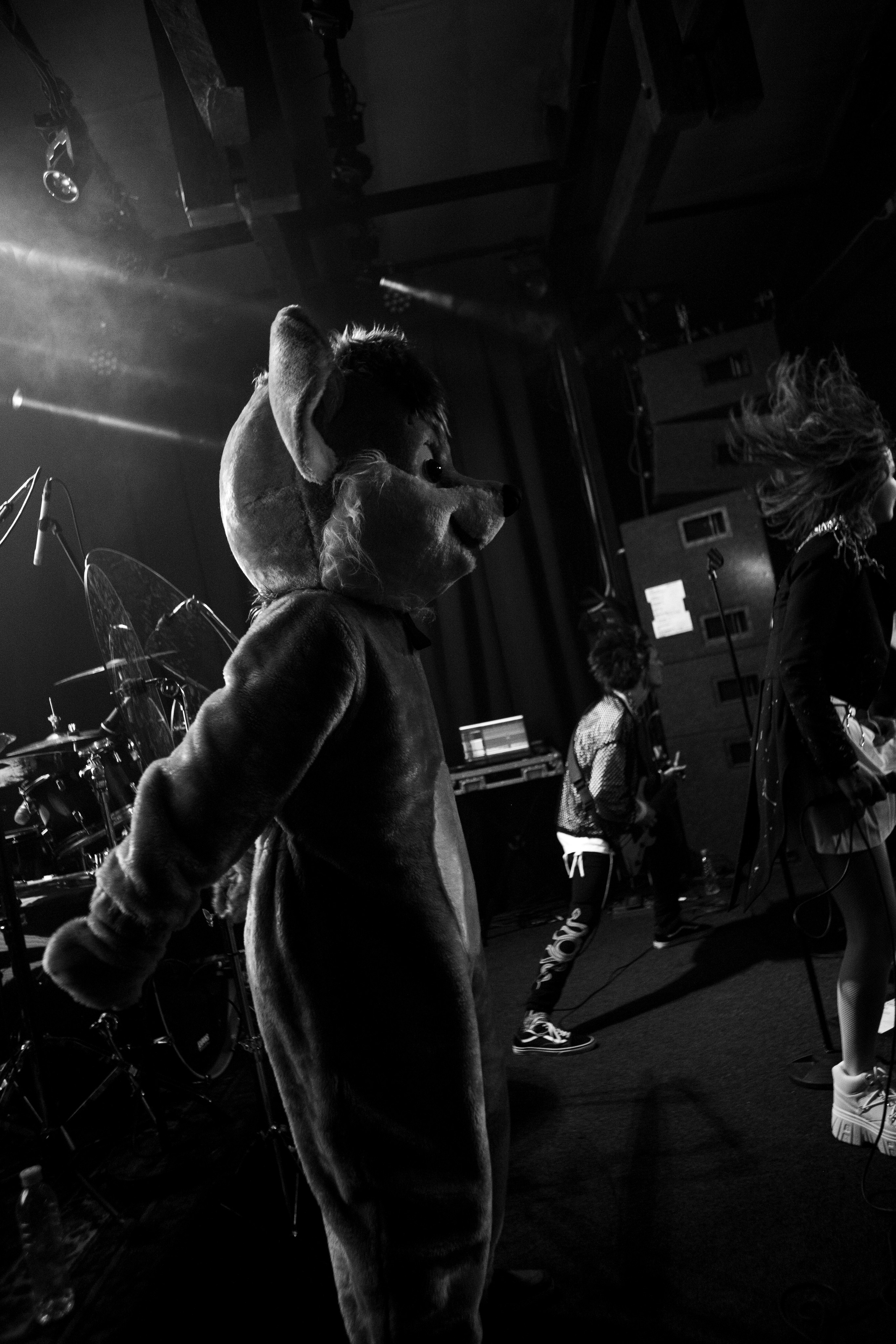 Ravdina|Сердце. Концертный фотограф в Санкт-Петербурге