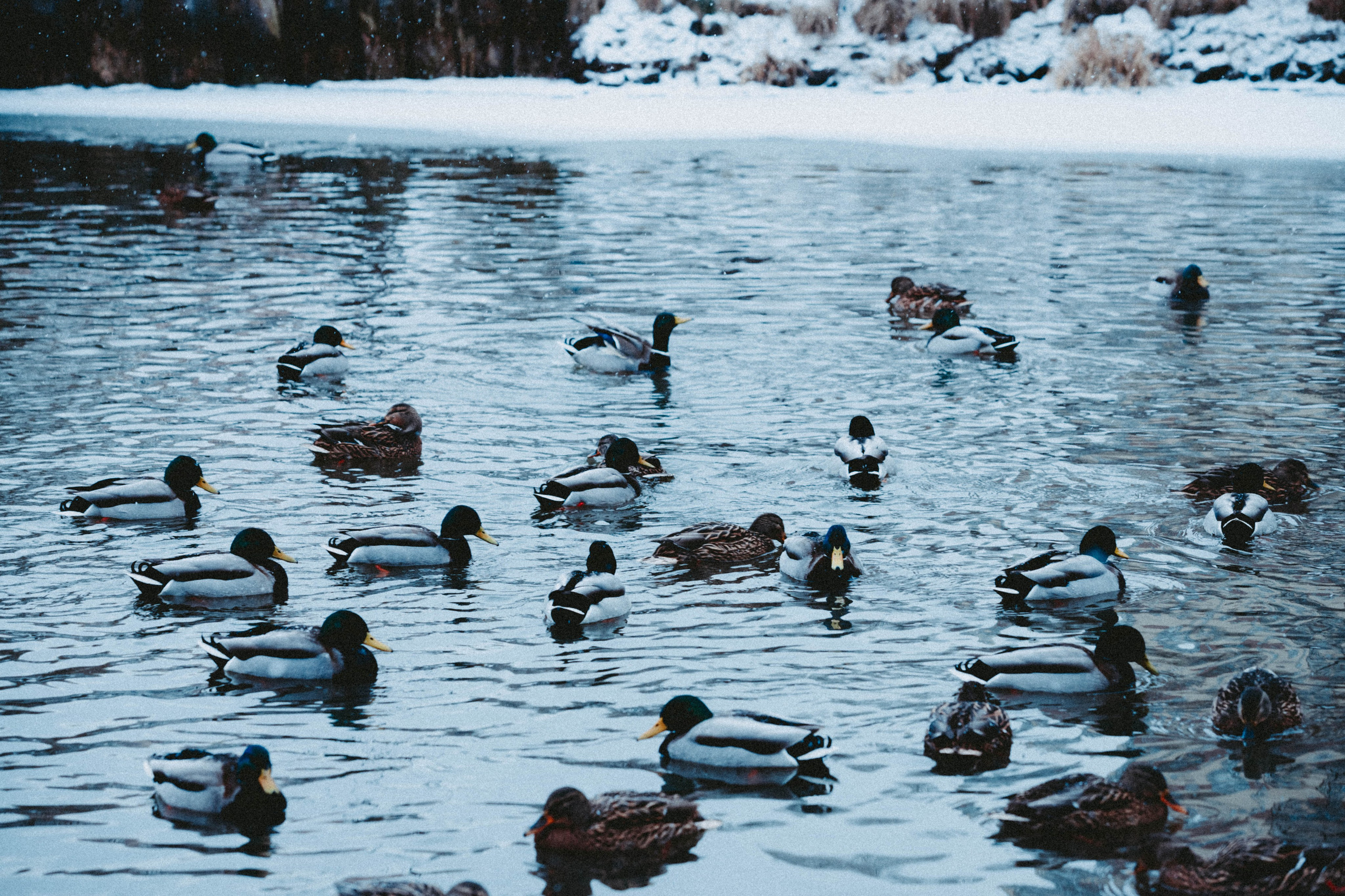 Марафон у дома_Мытищи. Александра Мельниченко/ Бегающий фотограф