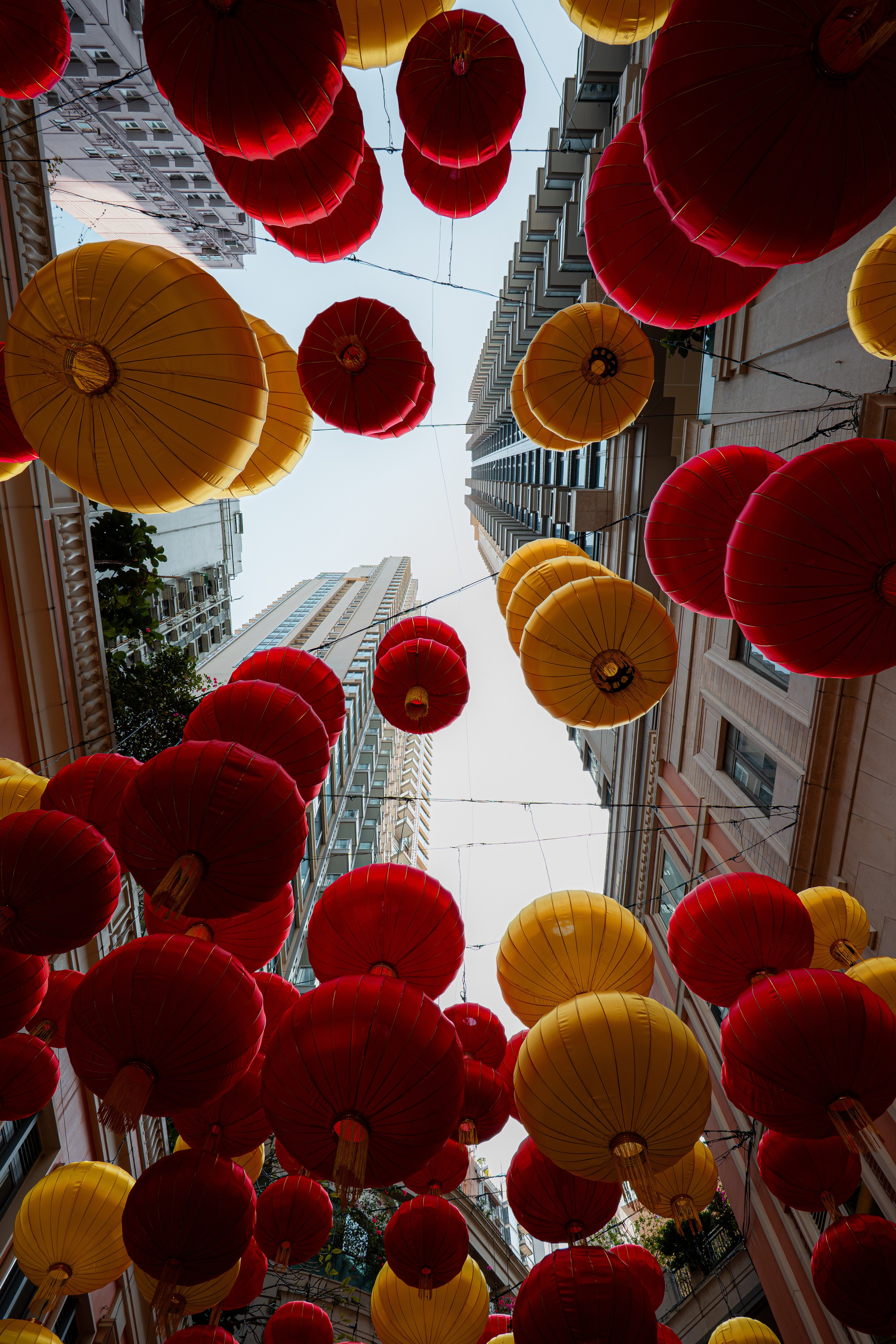 ГОНКОНГ 2026. Фото| Видео продакшн | Александр Ярков