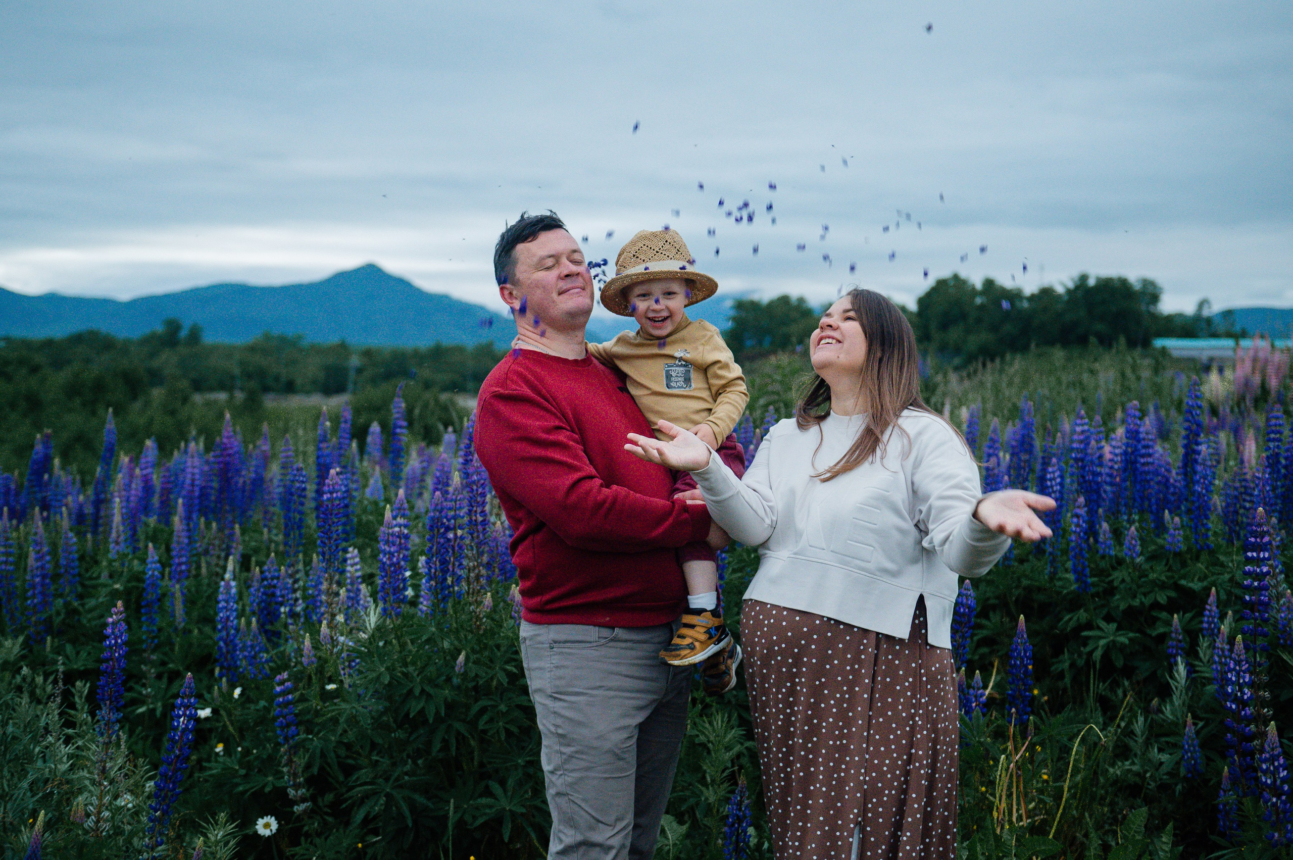 Прогулка в люпиновых полях. Свадебный и семейный фотограф Камчатка. Фотограф Камчатка