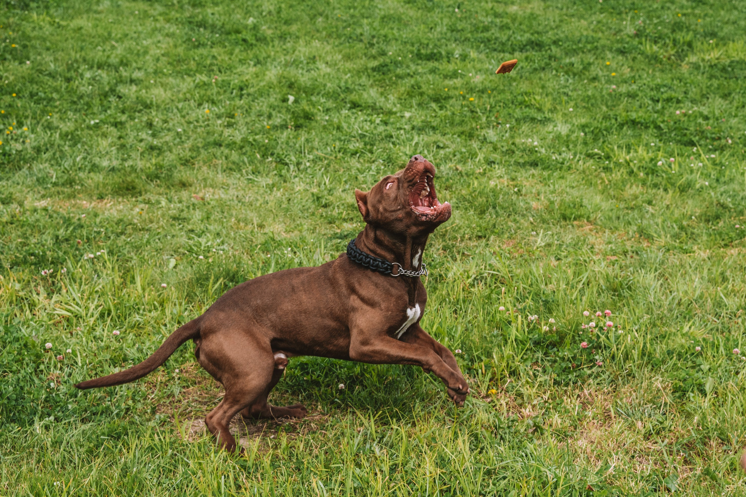 Лав стори фотограф Санкт-Петербург. Свадебный, семейный, портретный, репортажный фотограф в Санкт-Петербурге